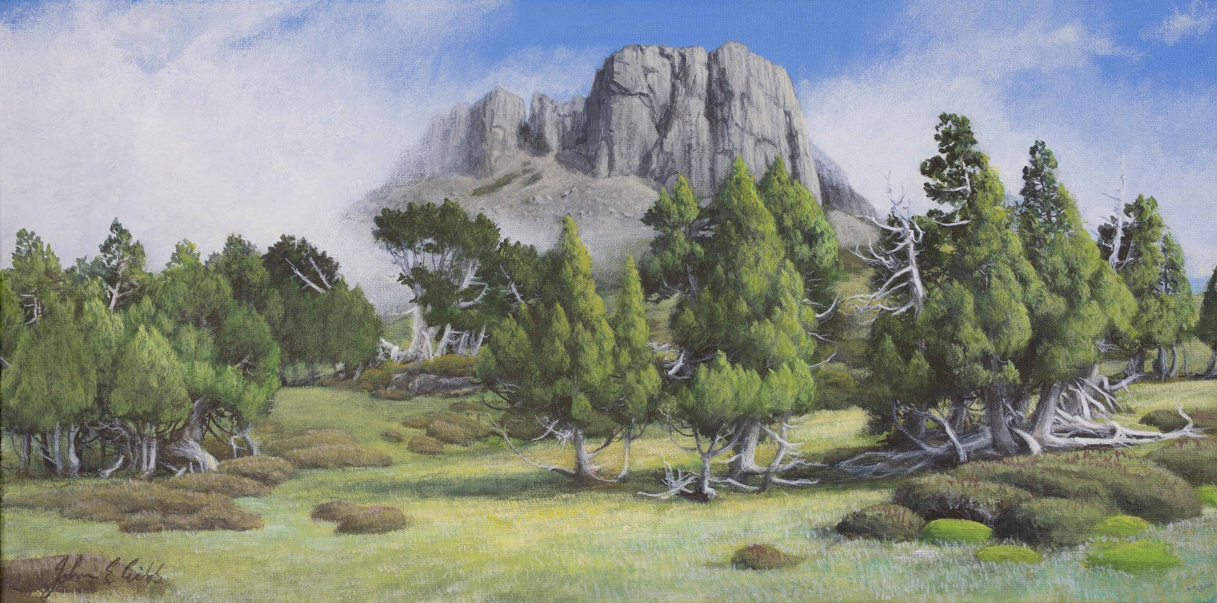 Solomon’s Throne from Damascus Gate.

(Price on enquiry)

acrylic on canvas / 60 x 30 cm.

Solomons Throne (Hall’s Bluff), overlooking Damascus Gate and the beginnings of the endemic pencil pine forest that skirts the Temple and the legendary Dixon’s