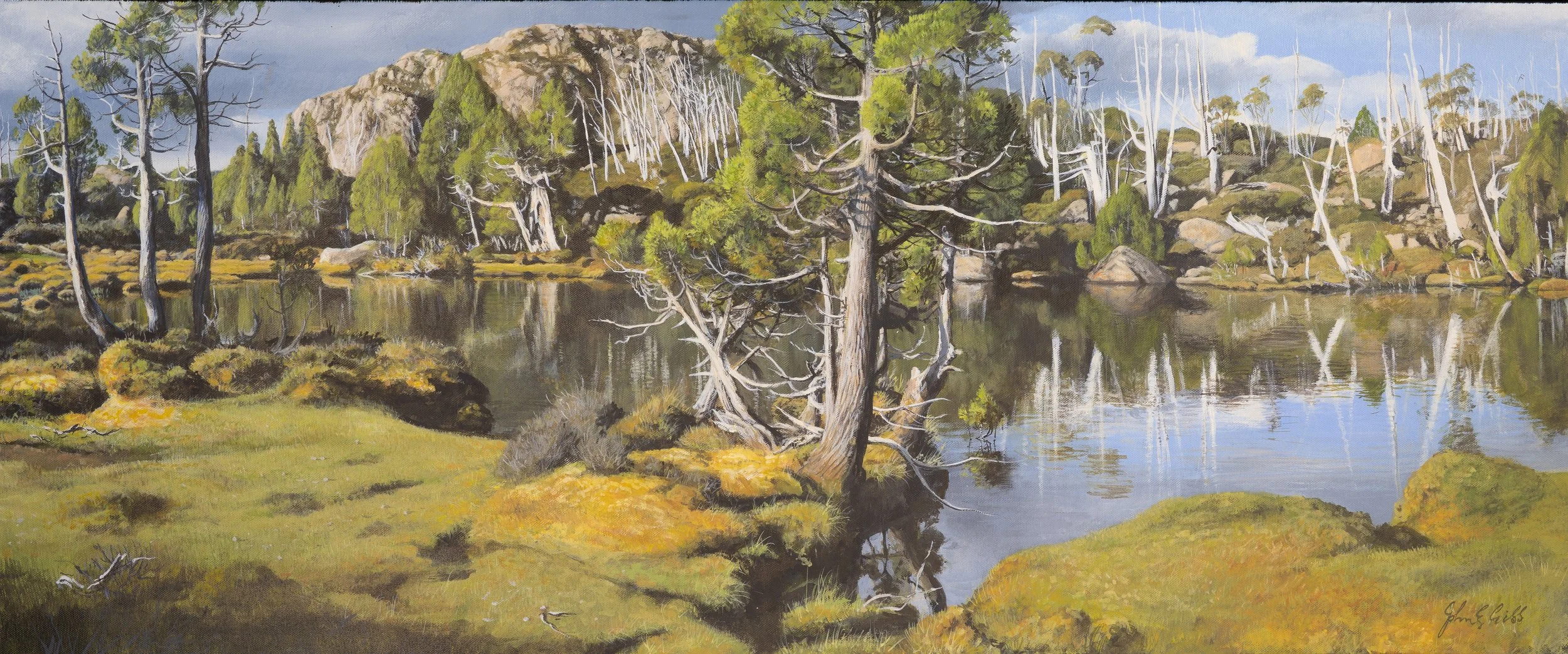 Mt Zion and the Pool of Bethesda.

(sold)

acrylic on canvas / 121 x 50 cm.

Solitude and reflection at the Pool of Bethesda, amongst the skeletal remains of ancient pencil pines left behind by the tragic bushfires that swept through this fragile lan