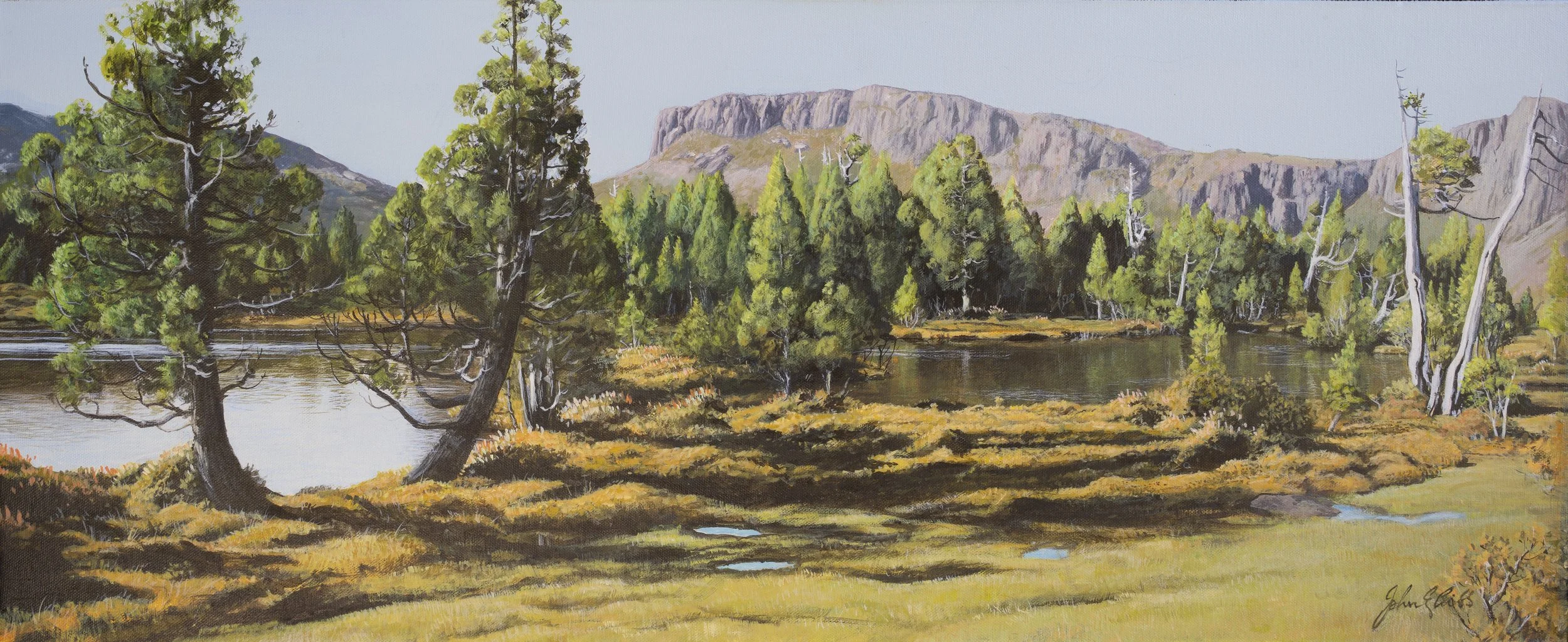 West Wall and Damascus Gate from the Pool of Siloam.

(sold)

acrylic on canvas / 75 x 30 cm.

A classic and nostalgic view from the original campsite before it became a restricted rehabilitation site.