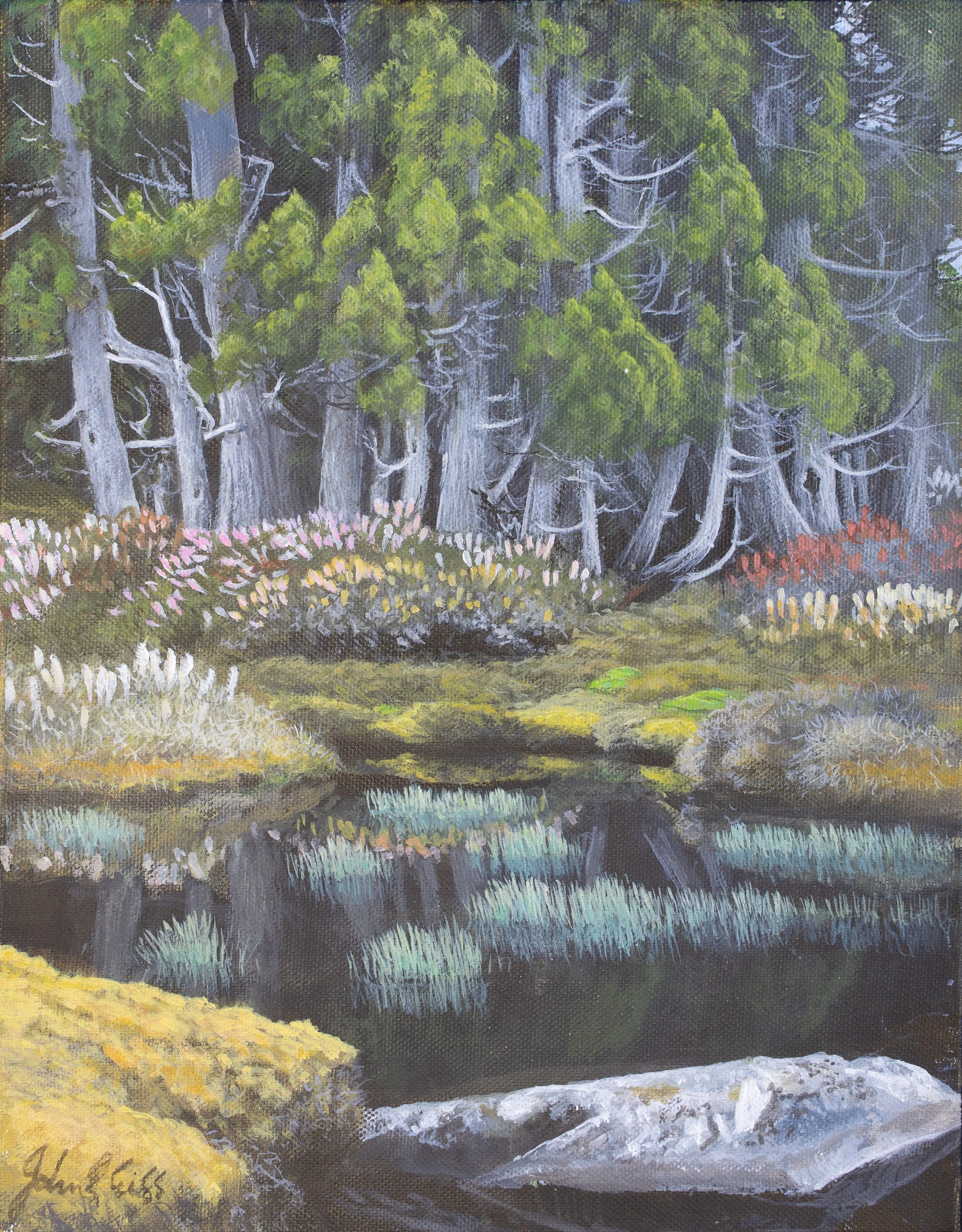 Alpine Tarn on Ephraim’s Gate.

(Price on enquiry)

acrylic on canvas / 28 x 35 cm.

One of several small tarns situated in a ‘Garden of Eden’ above the Pool of Siloam between Mt Zion and Mt Ophel