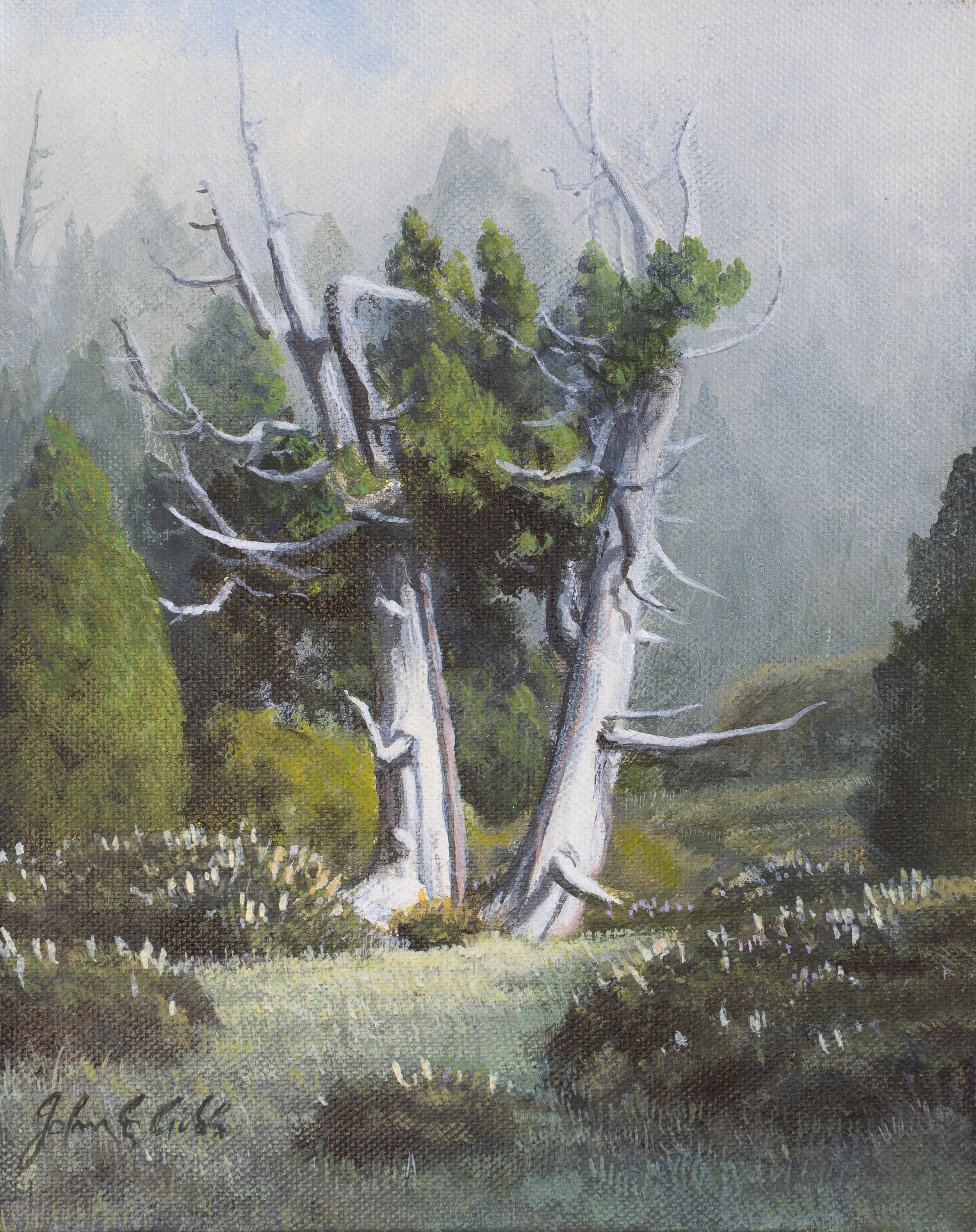 Ancient Pencil Pines in Jaffa Gate.

(sold)

acrylic on canvas / 20 x 25 cm.

Ancient pines over a thousand years old abound in the ‘Temple Forest’ one of the largest stands of endemic pencil pines in Tasmania