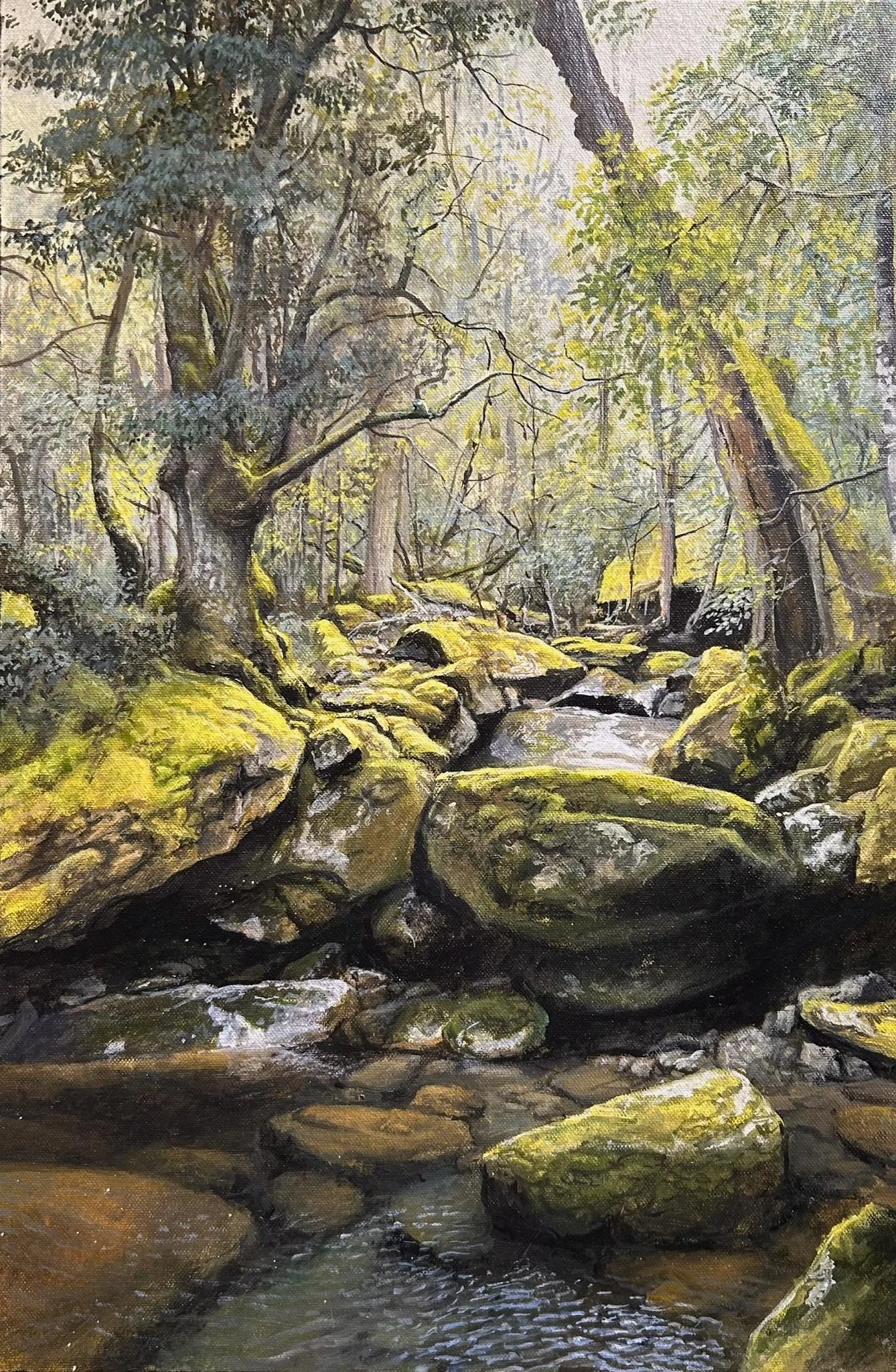 Rivers of Tasmania Collection