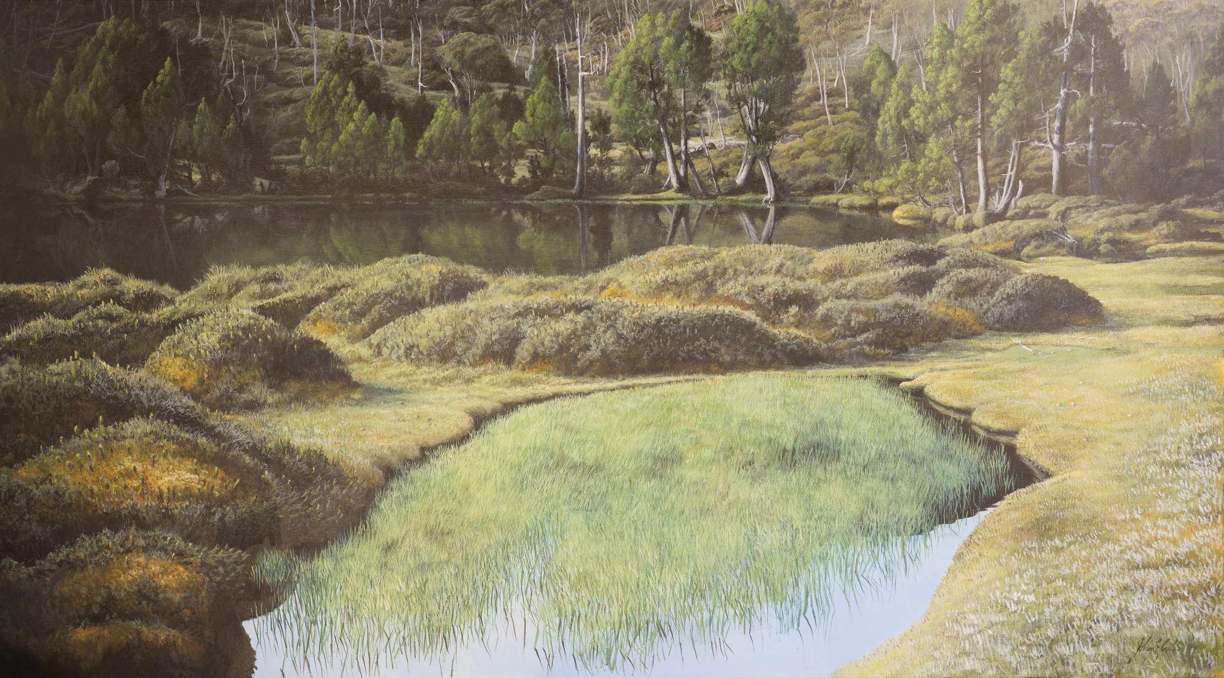 Pool of Bethesda under the morning shadows of the Temple.

(Price on enquiry)

acrylic on canvas / 185 x 101 cm.

This early morning glimpse of the Pool of Bethesda during my first visit to ‘the Walls’ back in 1971 is firmly etched into my memory, re