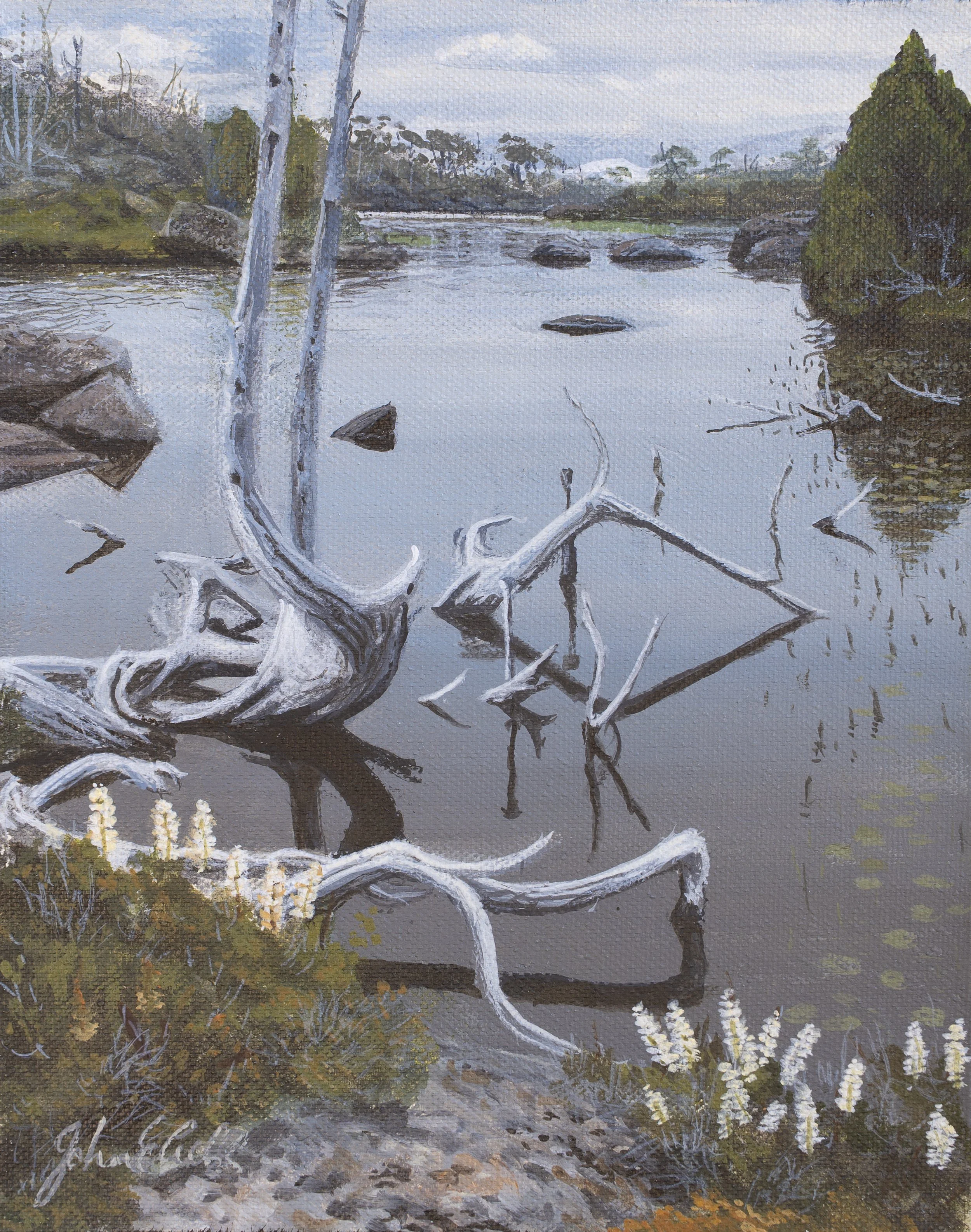 Looking towards Mt Ossa, Solomon’s Jewels.

(sold)

acrylic on canvas / 20 x 25 cm.

Solomon’s Jewels, an aptly named series of mountain tarns, lie scattered along the usual route to ‘the Walls’.