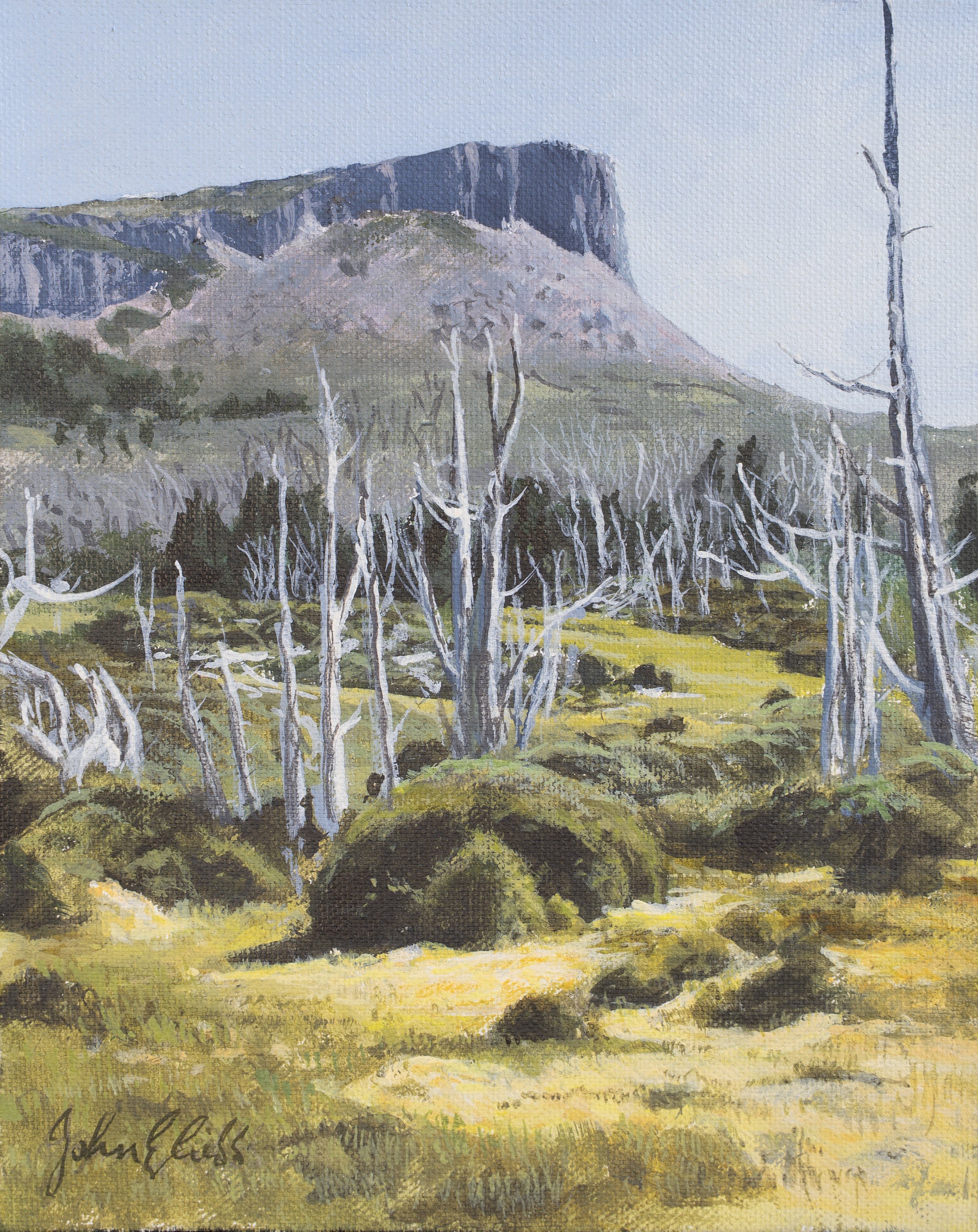 The Wailing Wall from Damascus Vale.

(sold)

acrylic on canvas / 20 x 25 cm.

The Wailing Wall extends from Solomon’s Throne to Mt Moriah and forms a striking backdrop to Damascus Vale and its countless springs and sphagnum mosses that lie underfoot