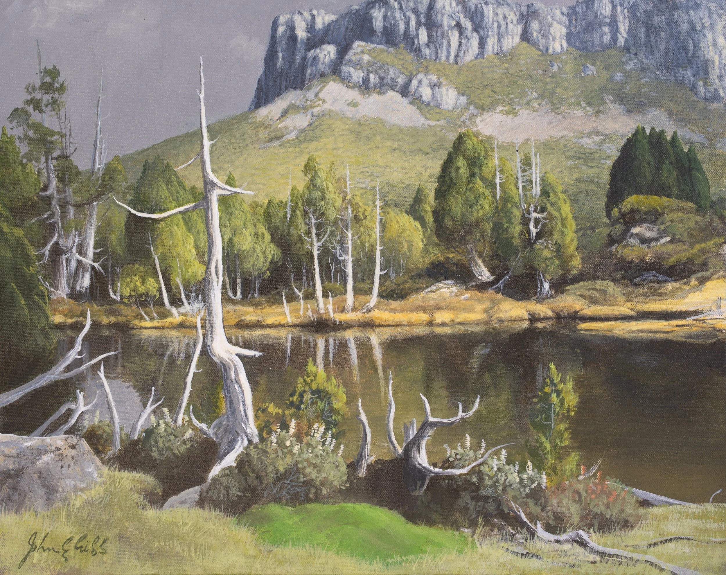 Mt Zion and the Pool of Bethesda.

(sold)

acrylic on canvas / 121 x 50 cm.

Solitude and reflection at the Pool of Bethesda, amongst the skeletal remains of ancient pencil pines left behind by the tragic bushfires that swept through this fragile lan