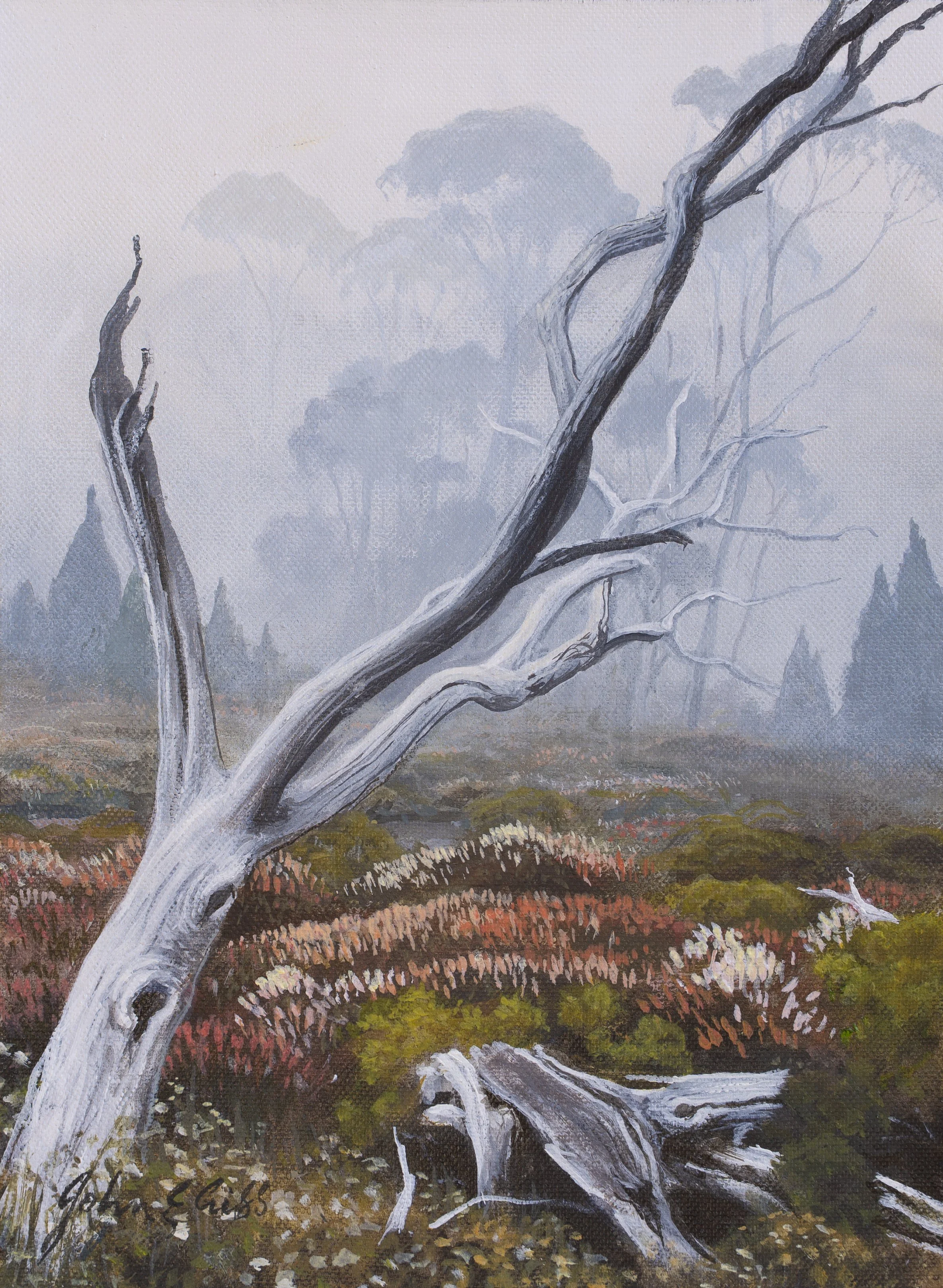 Ephraim’s Gate in the Mist.

(sold)

acrylic on canvas / 22 x 30 cm.

A sea of honey richea, scattered with numerous small tarns and occasional weather-bleached remains of bygone bushfires in Ephraim’s Gate.