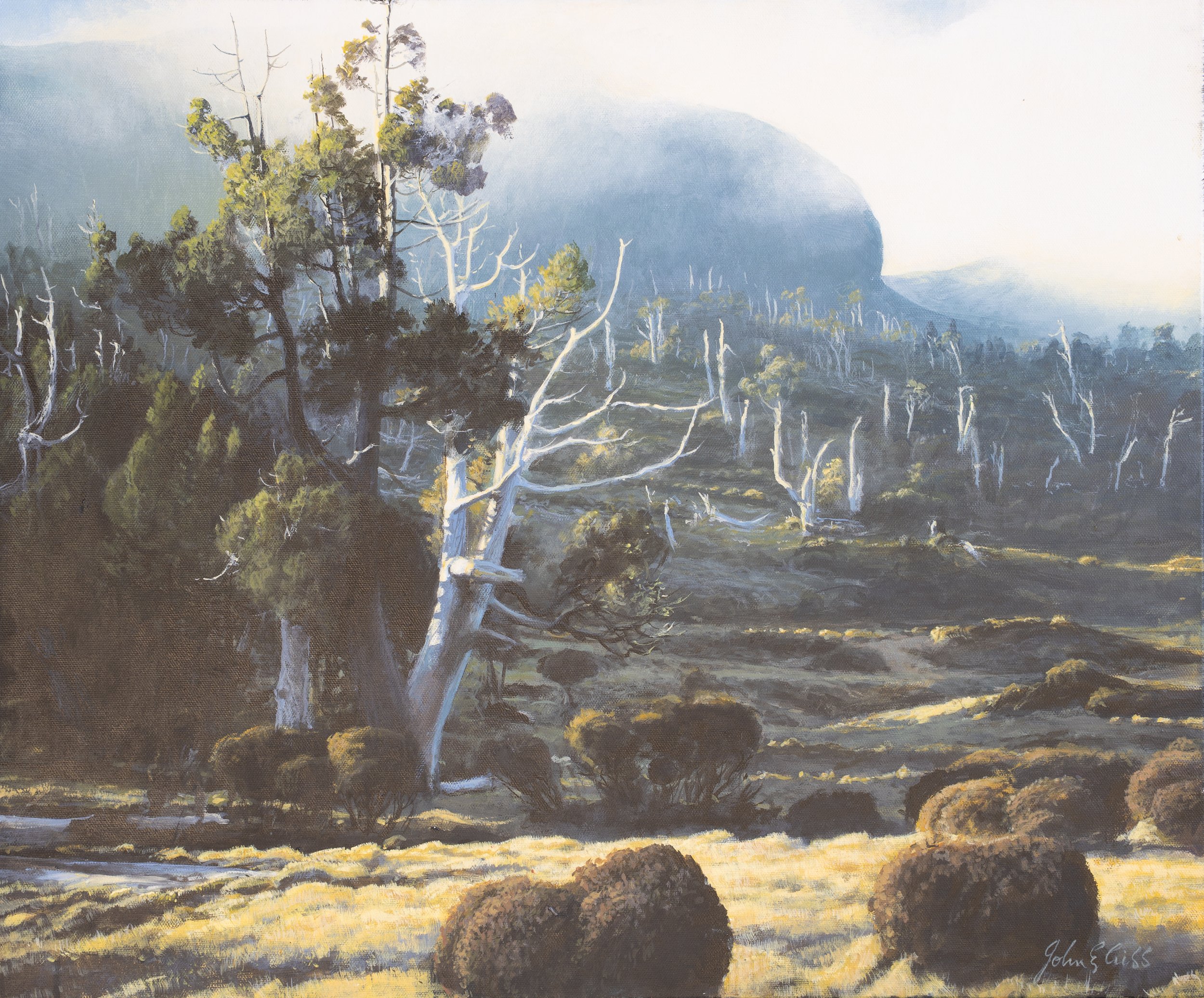 Morning Mists lifting in Jaffa Vale.

(Price on enquiry)

acrylic on canvas / 60 x 50 cm.

An early morning view looking south-east over the East Wall, directly opposite Dixon’s Kingdom hut and that often greeted me on so many occasions