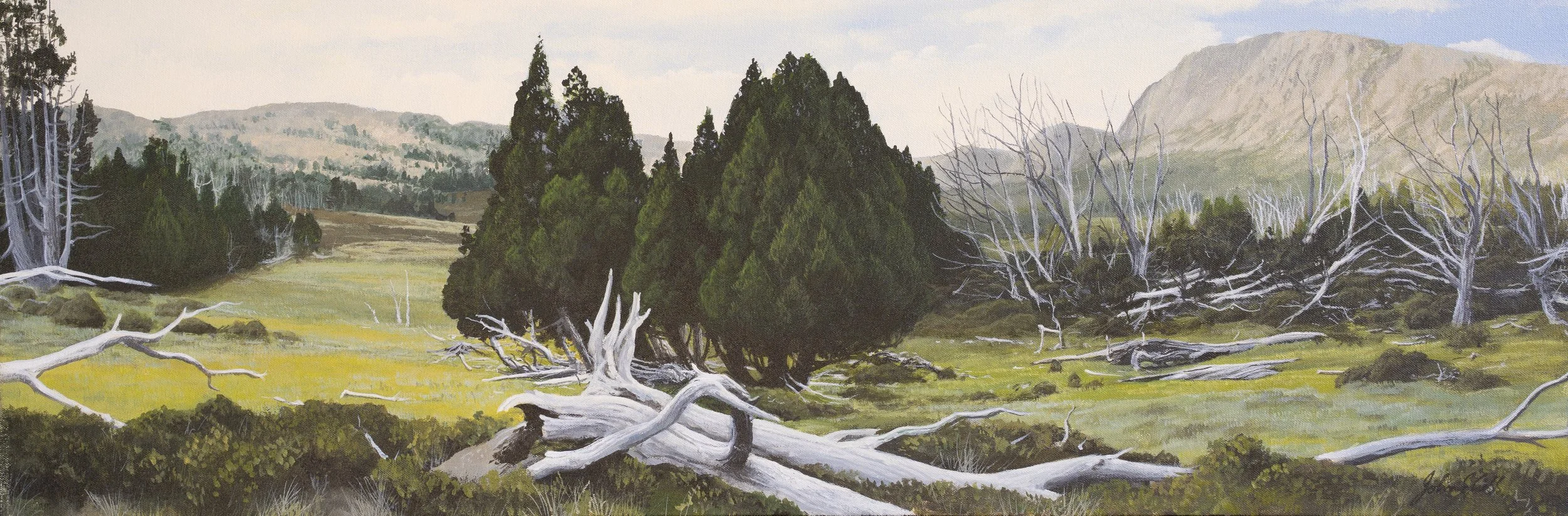 Mt Jerusalem and Vale of Rimmon from the Gate of the Chain.

(sold)

acrylic on canvas / 93 x 31 cm.

The sweeping view looking east from the Gate of the Chain and ‘the Temple’ , towards Mt Jerusalem and the East Wall and the Vale of Hinom.  Evidence