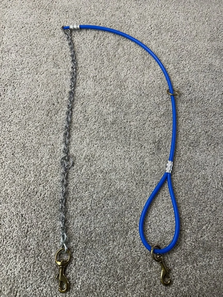 5ft Cable/Chain tree tie lead