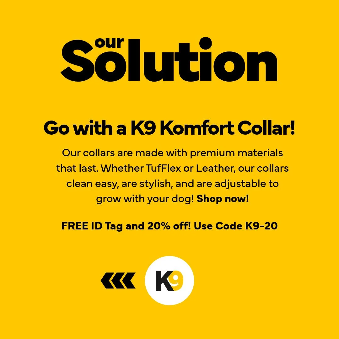 5 Reasons Your Dog Needs a New Collar-7.jpeg