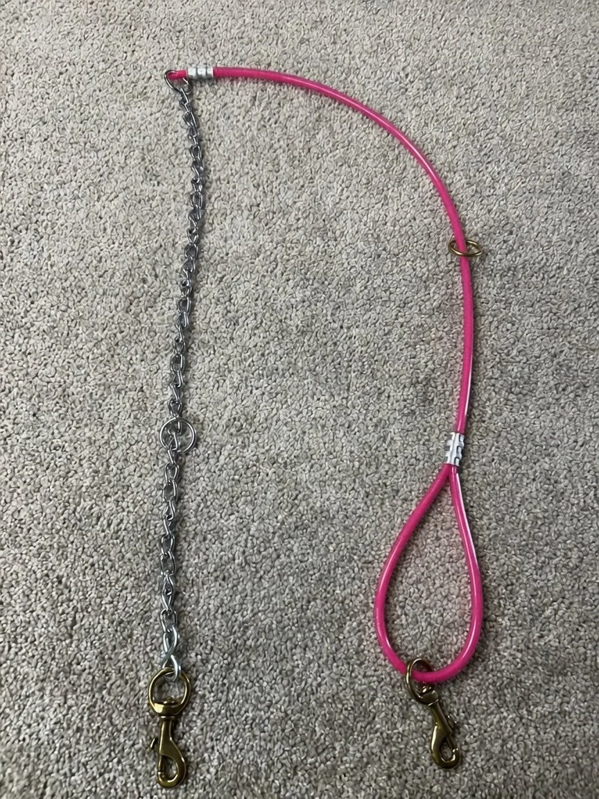 5ft Cable/Chain tree tie lead