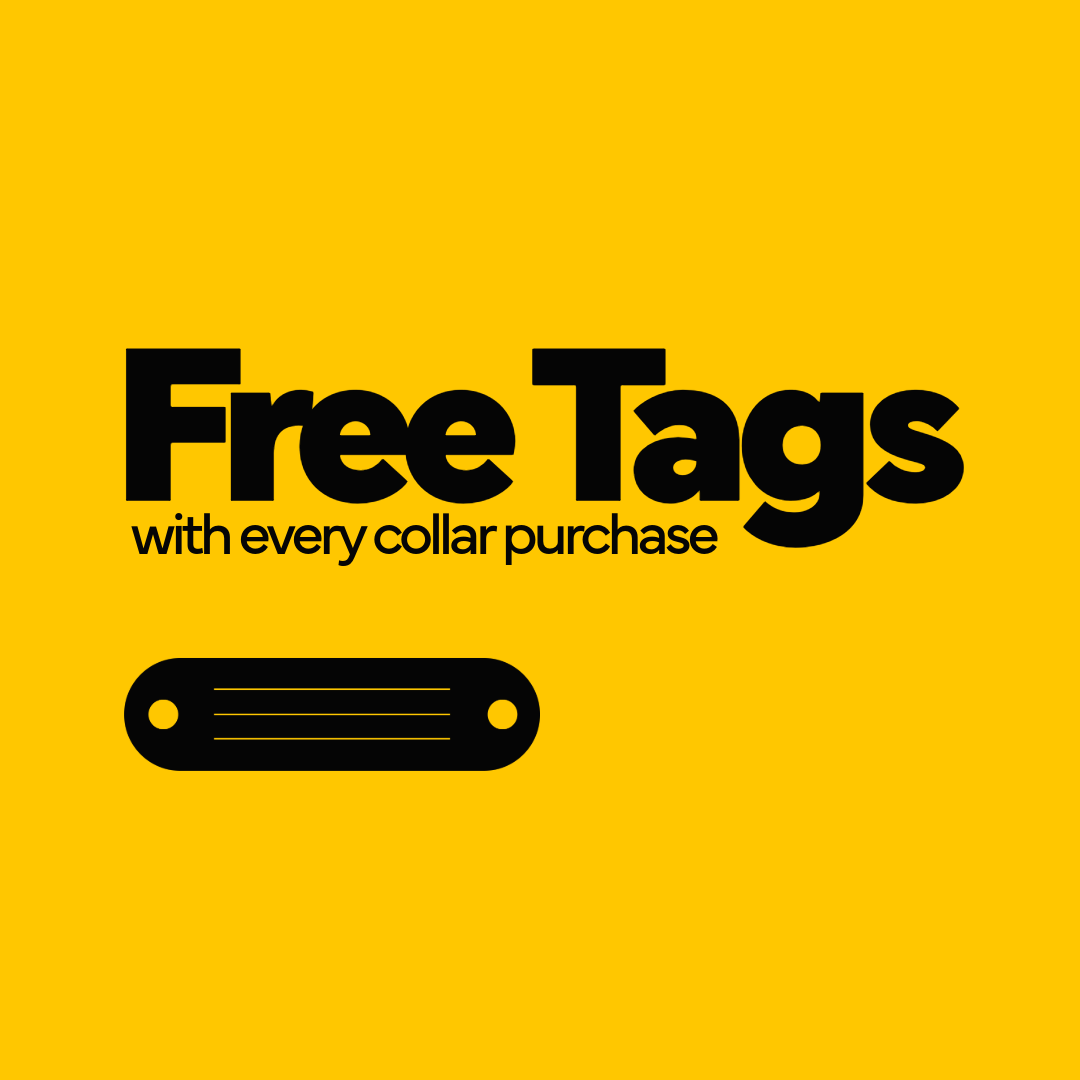 Yellow background with black text advertising free tags with every collar purchase, featuring a simple black collar illustration.