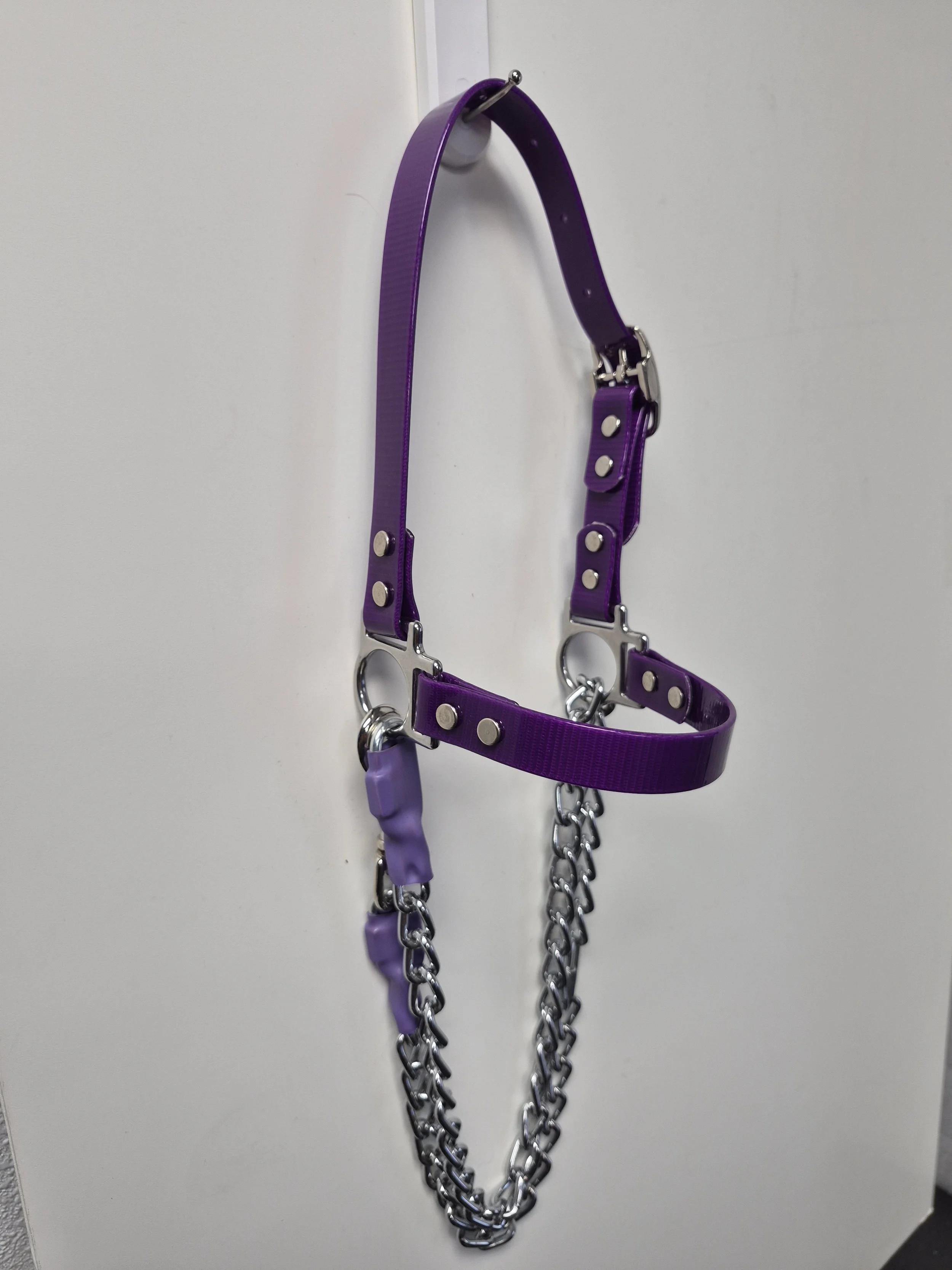 Sheep and Goat Halters