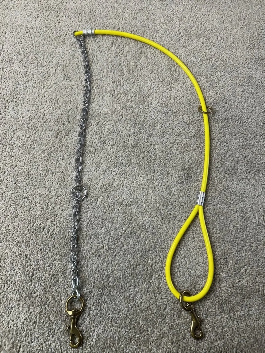 5ft Cable/Chain tree tie lead