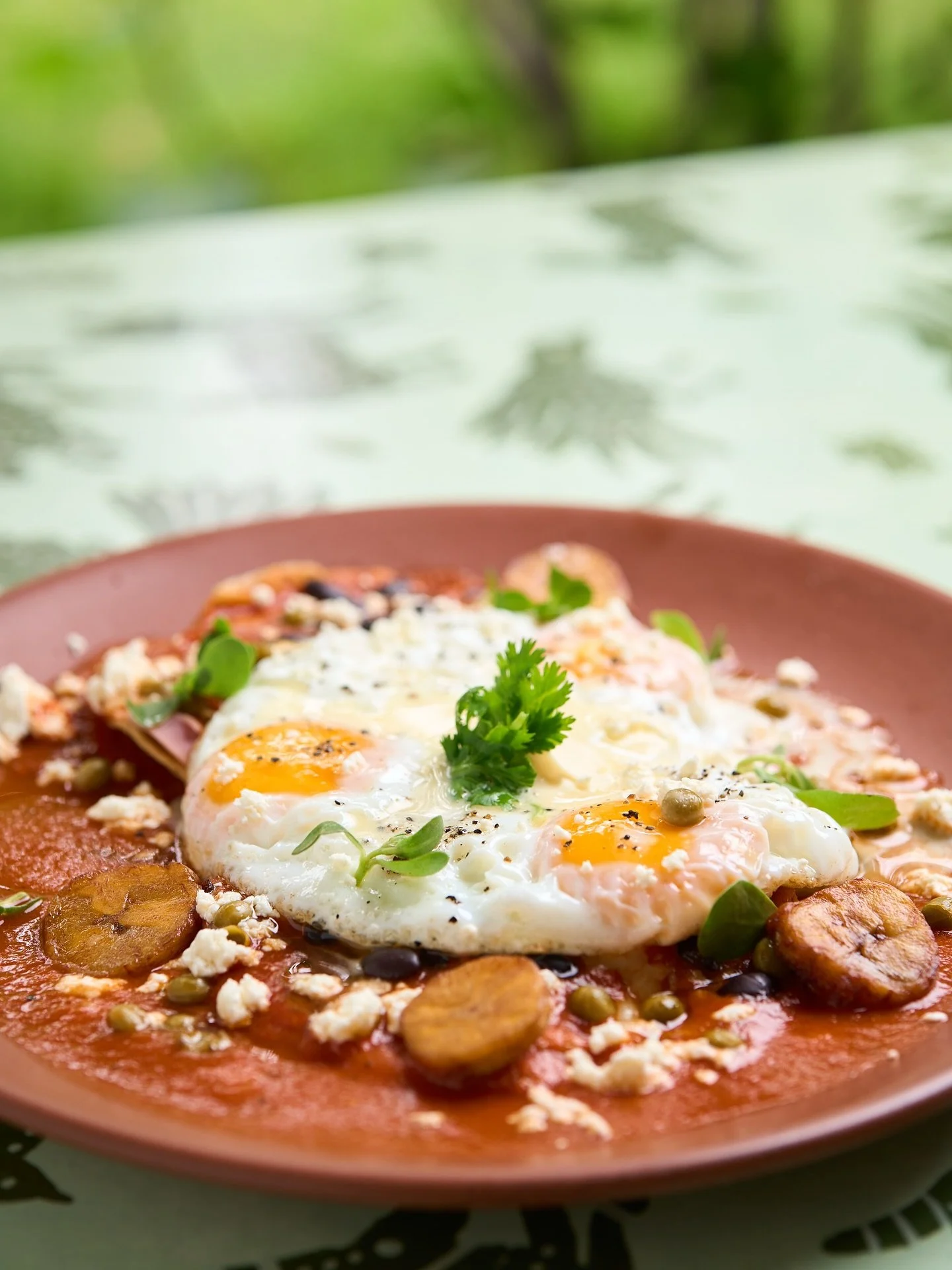 Un bello jard&iacute;n con aves y un delicioso desayuno en @ndali_centro_de_conexion puede ser tu forma de iniciar tu d&iacute;a si est&aacute;s en Quer&eacute;taro.