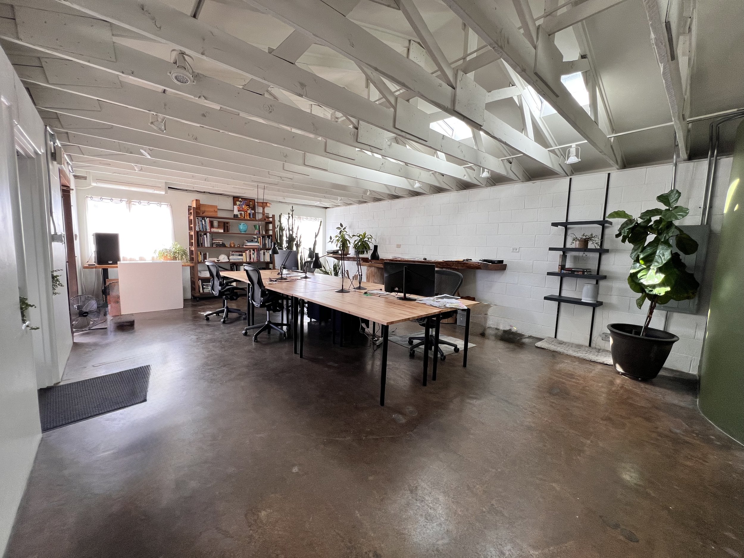 Open office space with wooden tables and black chairs, large windows with white curtains, bookshelf, potted plants, and decorative items.