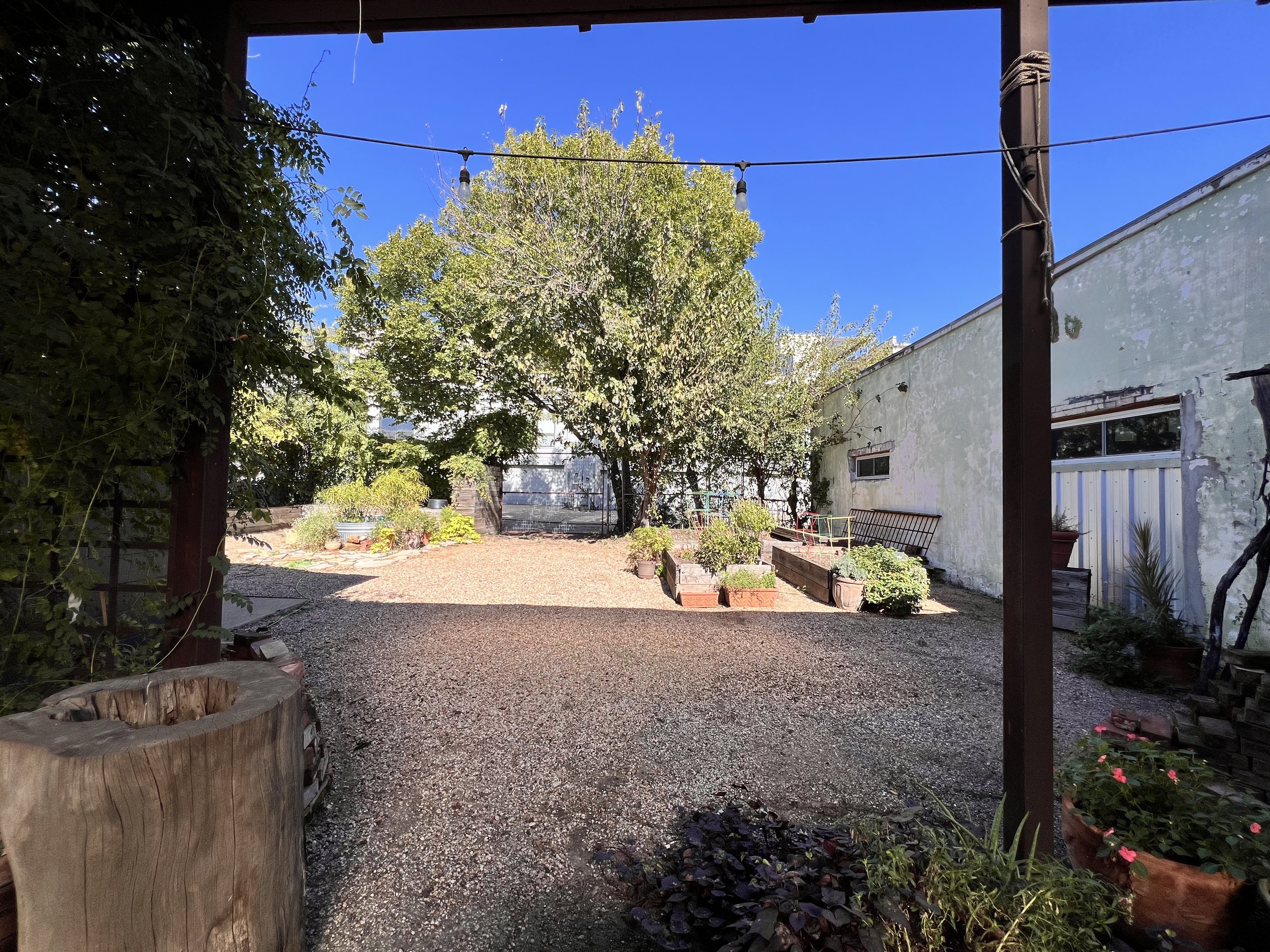 A backyard garden with potted plants, a large tree, and a shed, under a clear blue sky.