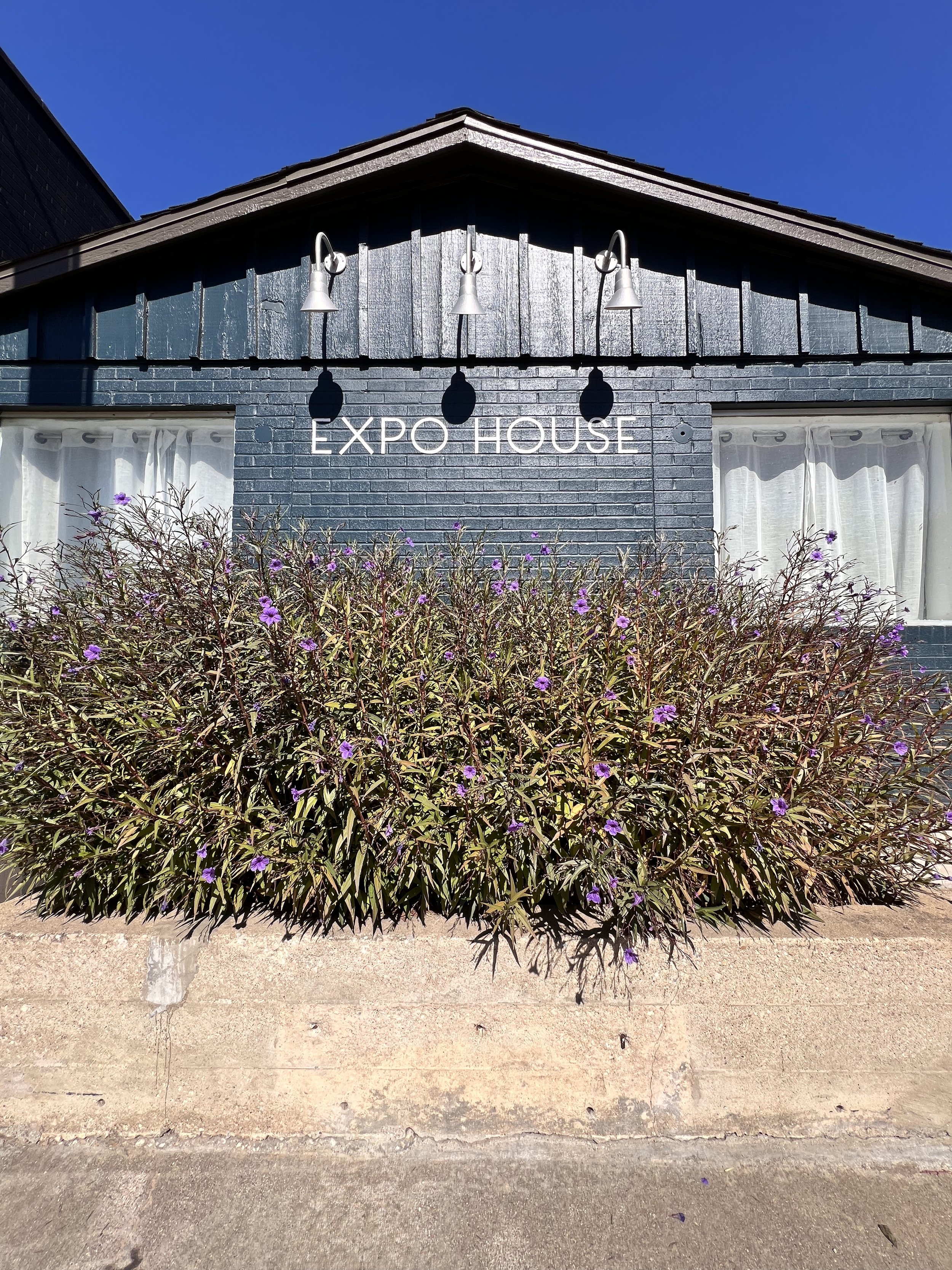 A building with a sign that reads 'Expo House' in white letters on a dark blue brick wall. There are two windows with white curtains, plants with purple flowers in front, and a clear blue sky above.