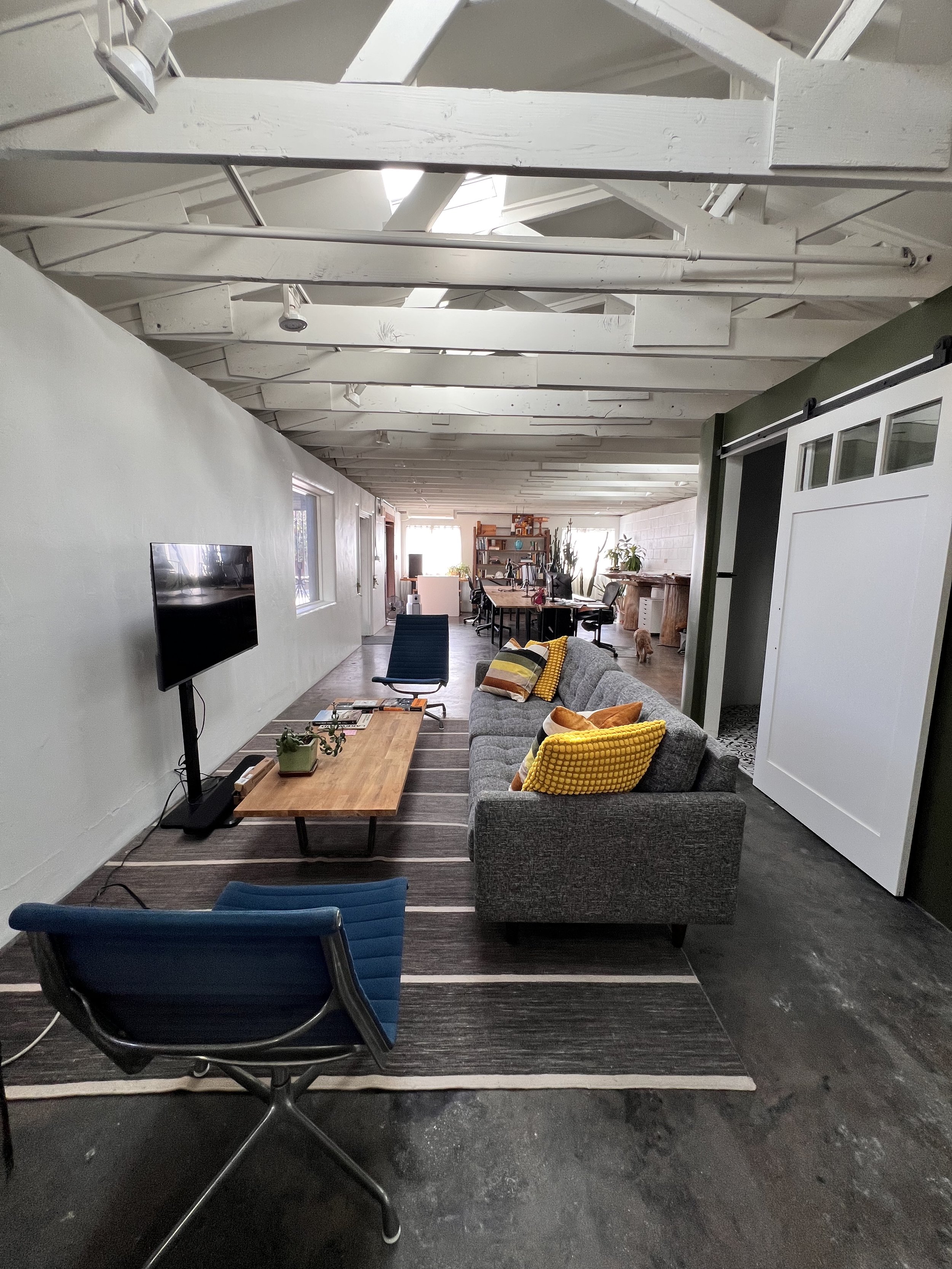 Living room with gray sofa, colorful pillows, flat-screen TV on the wall, wooden coffee table, and multiple chairs. Pastel wall color, ceiling with exposed beams, and a dining area in the background with a table and shelves. Dog near the door.