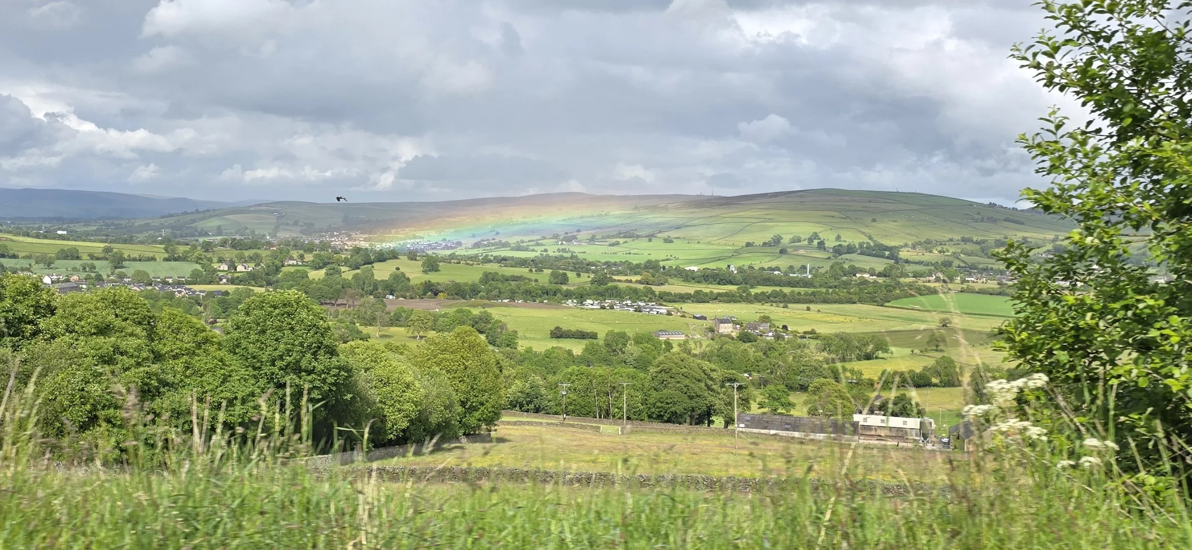 Revisiting the Hangover Trilogy