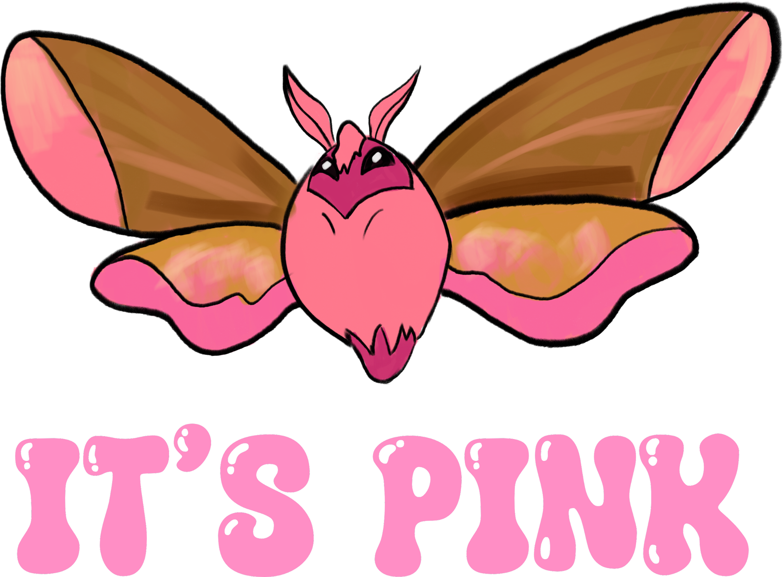 IT’S PINK desgin.png
