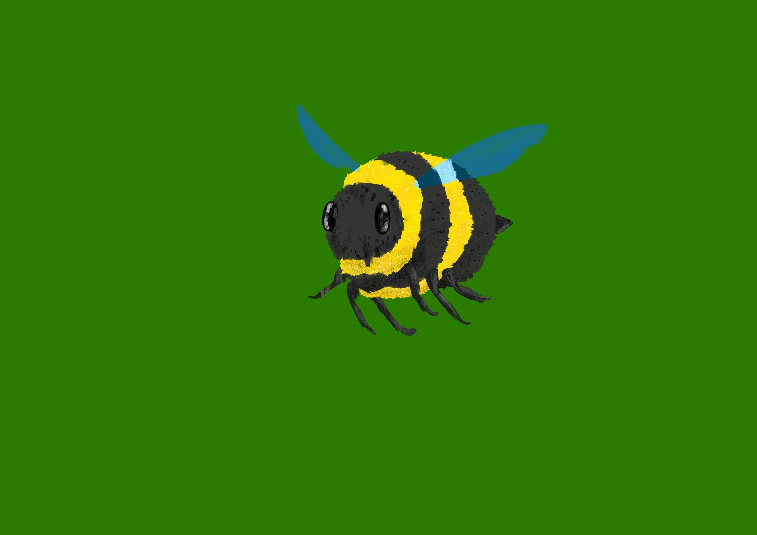 Bee.jpg