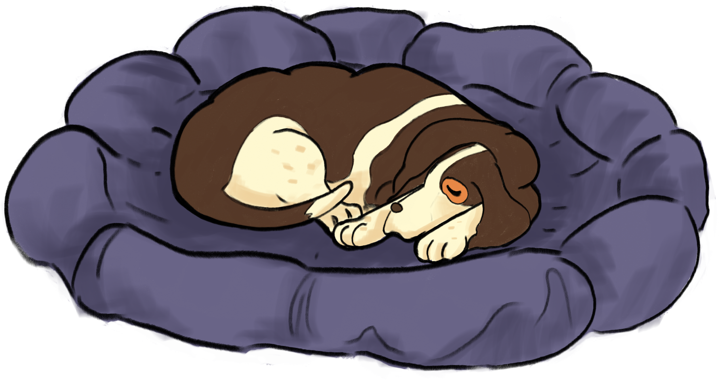 nap.png