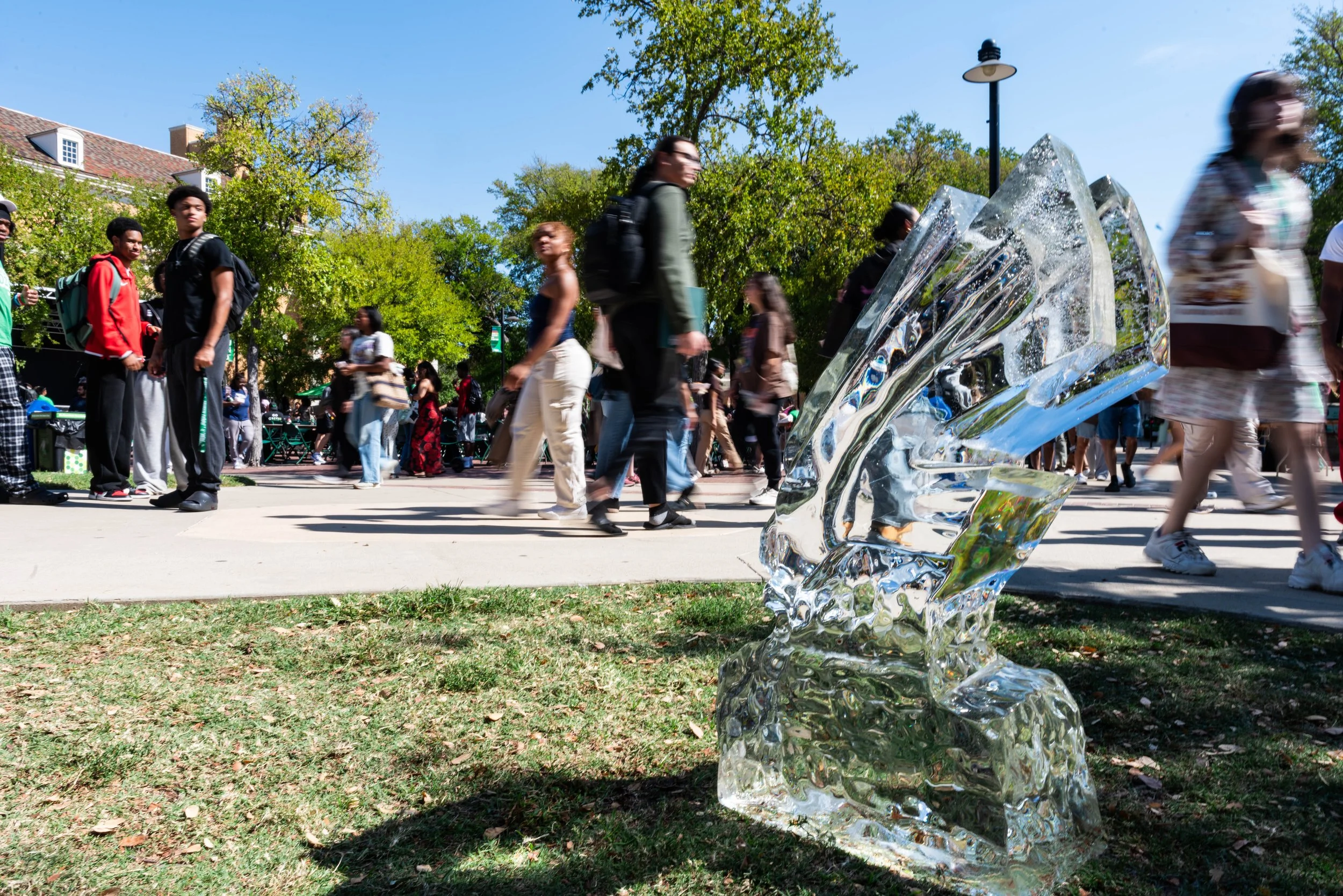 25_0486_Homecoming Picnic_420mg.jpg