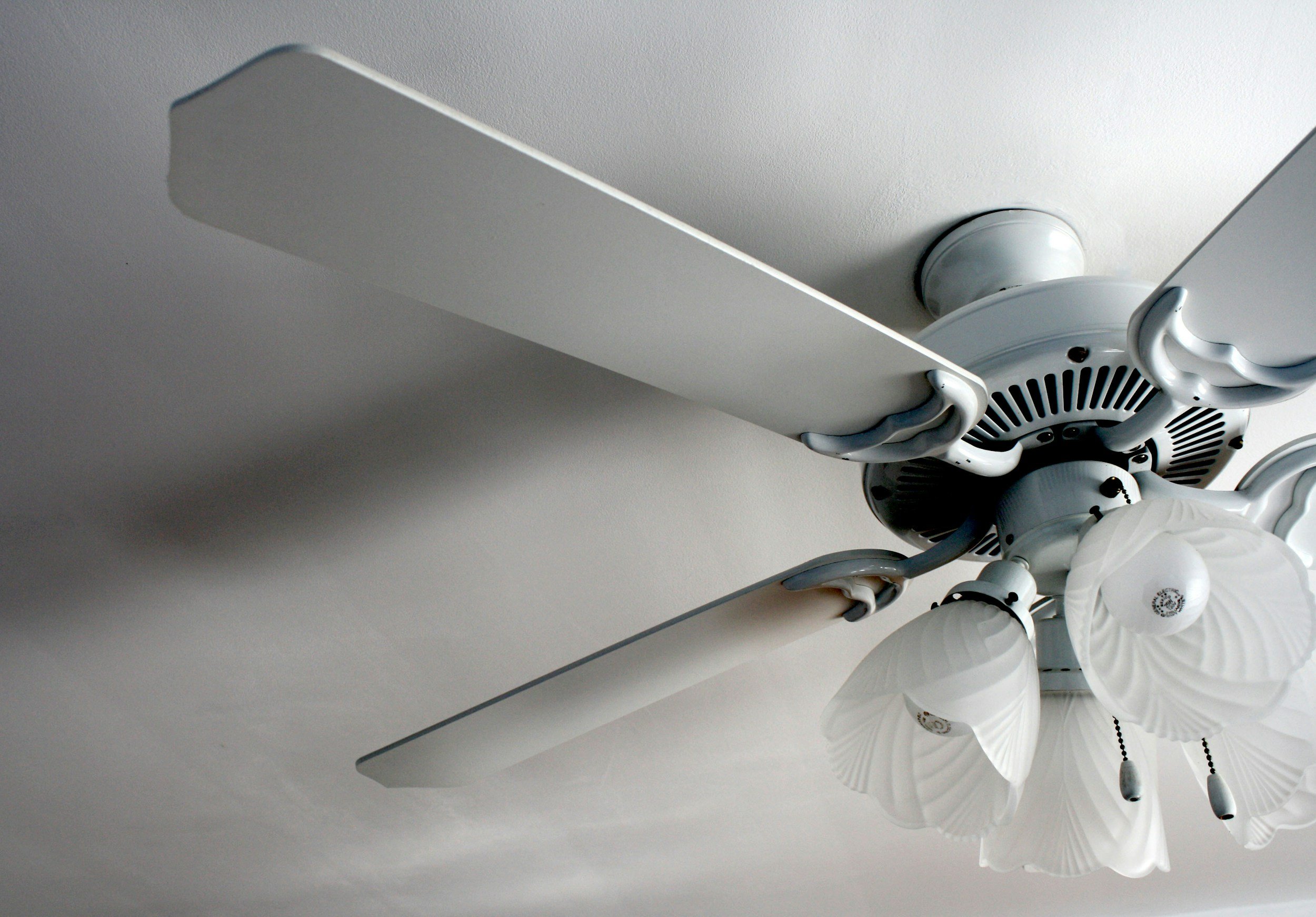 Ceiling fan replacement Reagan Tennessee