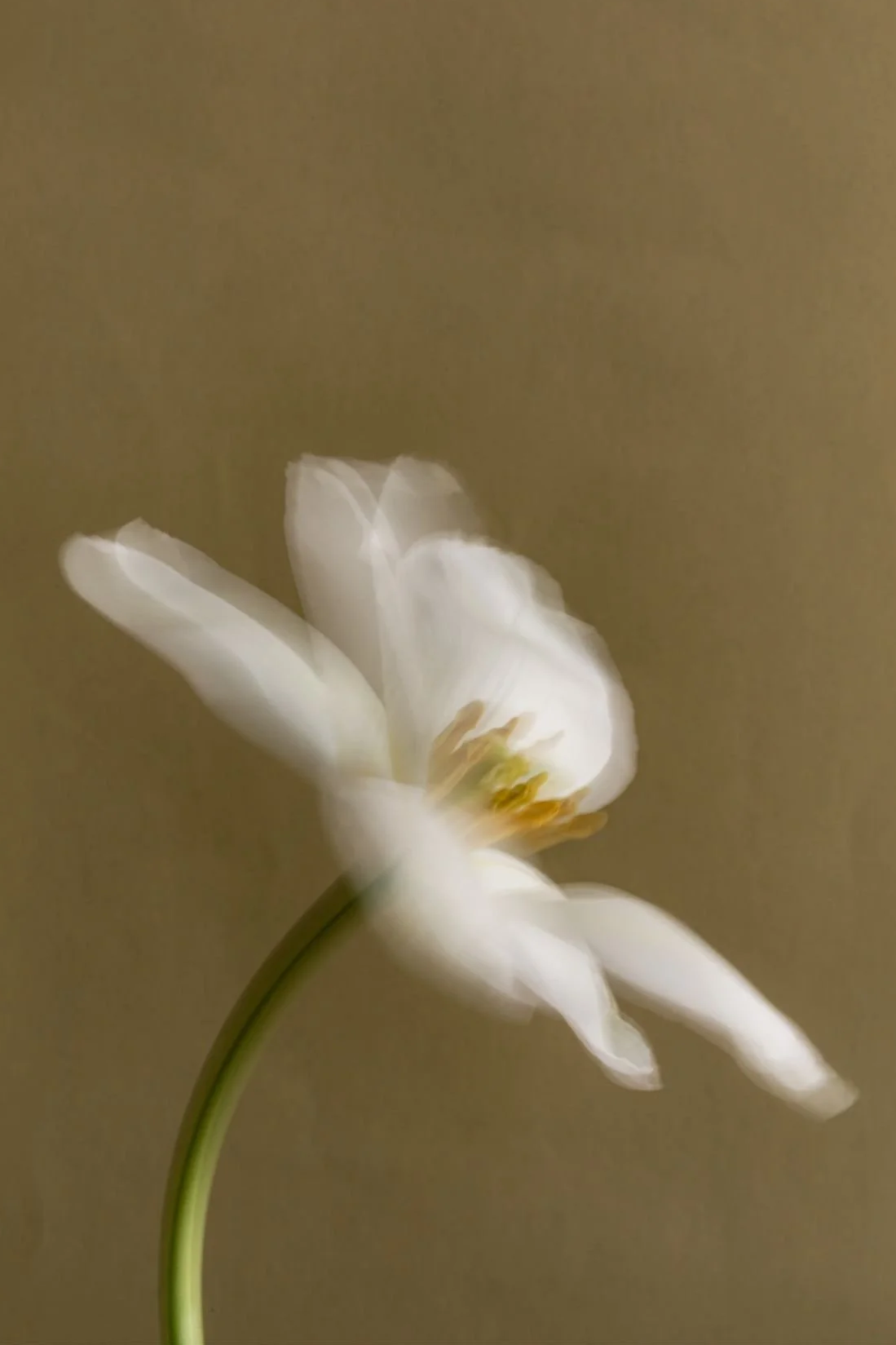 Naturopathy Initial Consultation