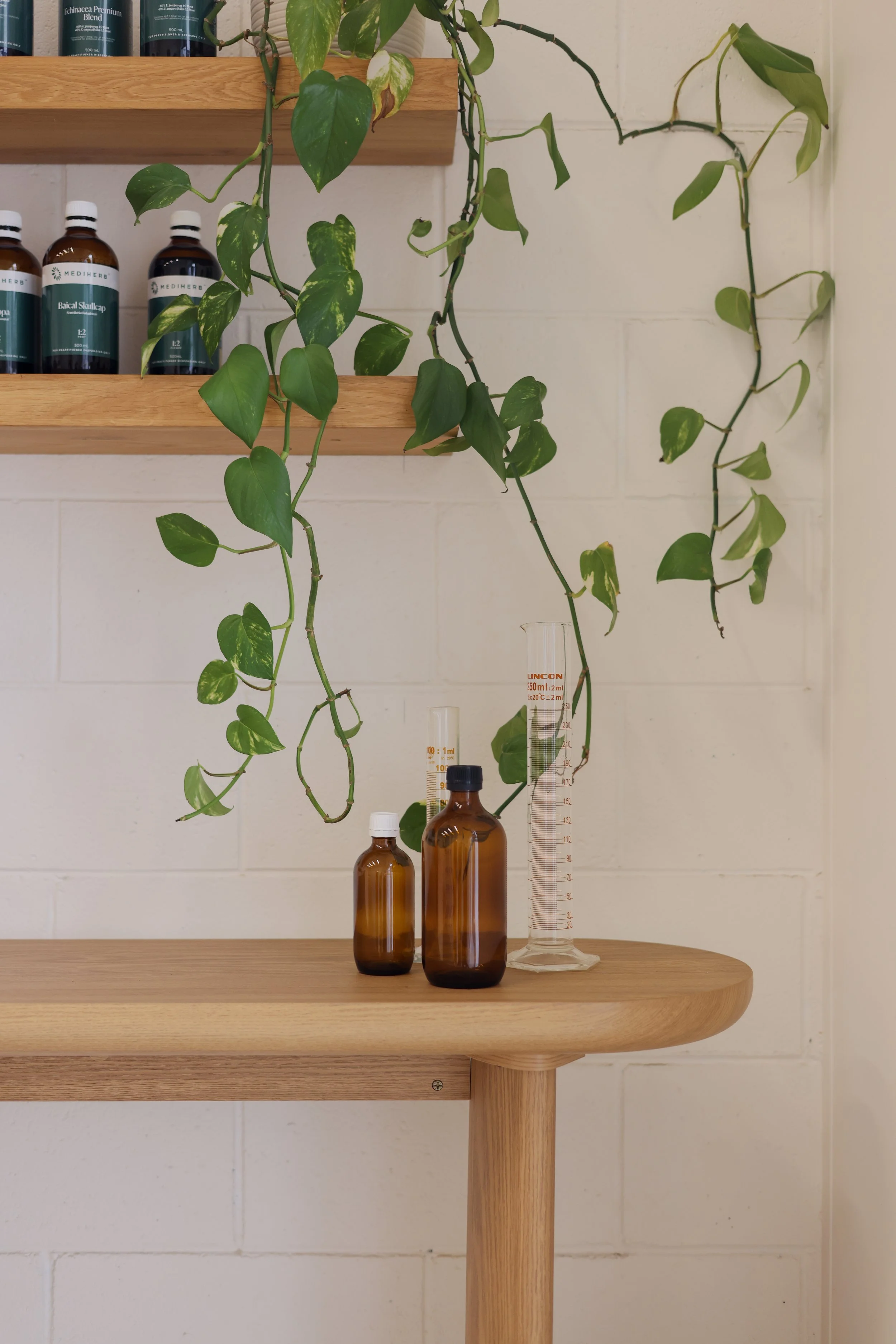 Standard Follow-up Naturopathy Consultation