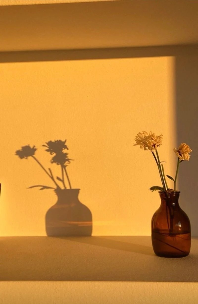 Naturopathy Initial Consultation