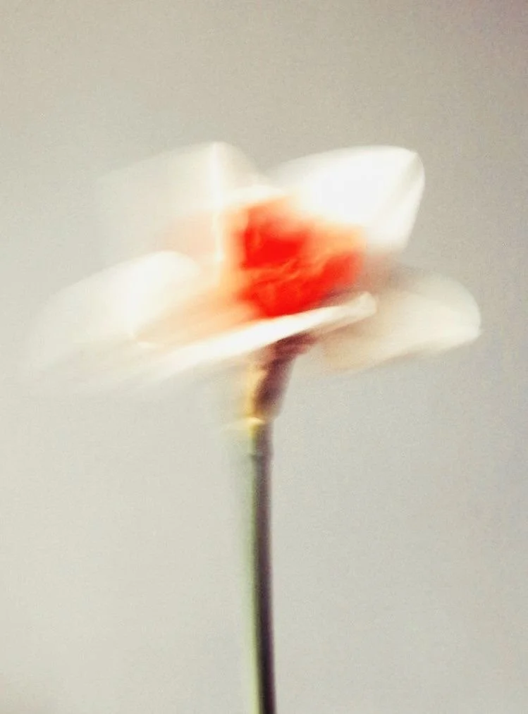 Extended Follow-up Naturopathy Consultation