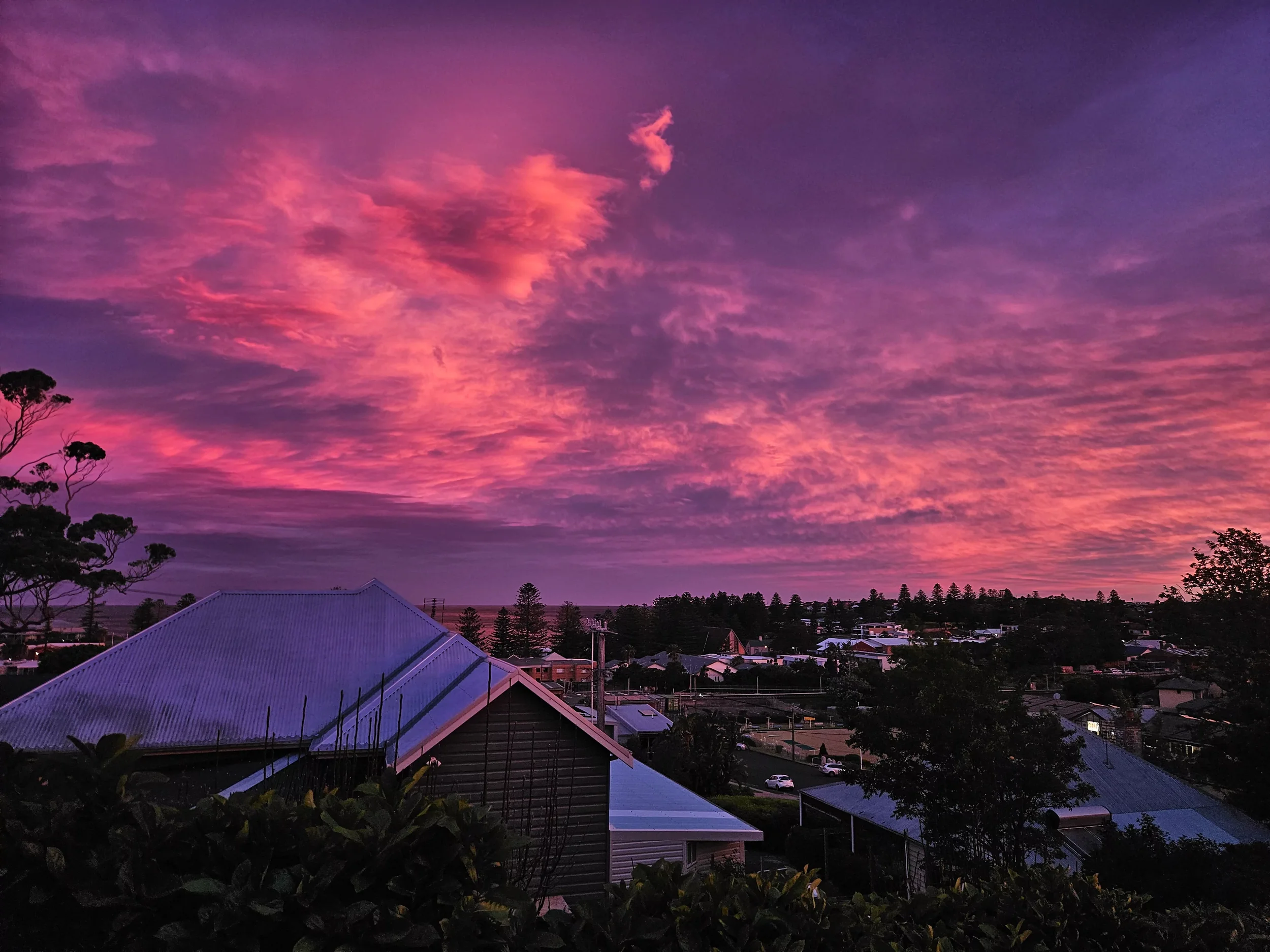 view from the balcony.webp