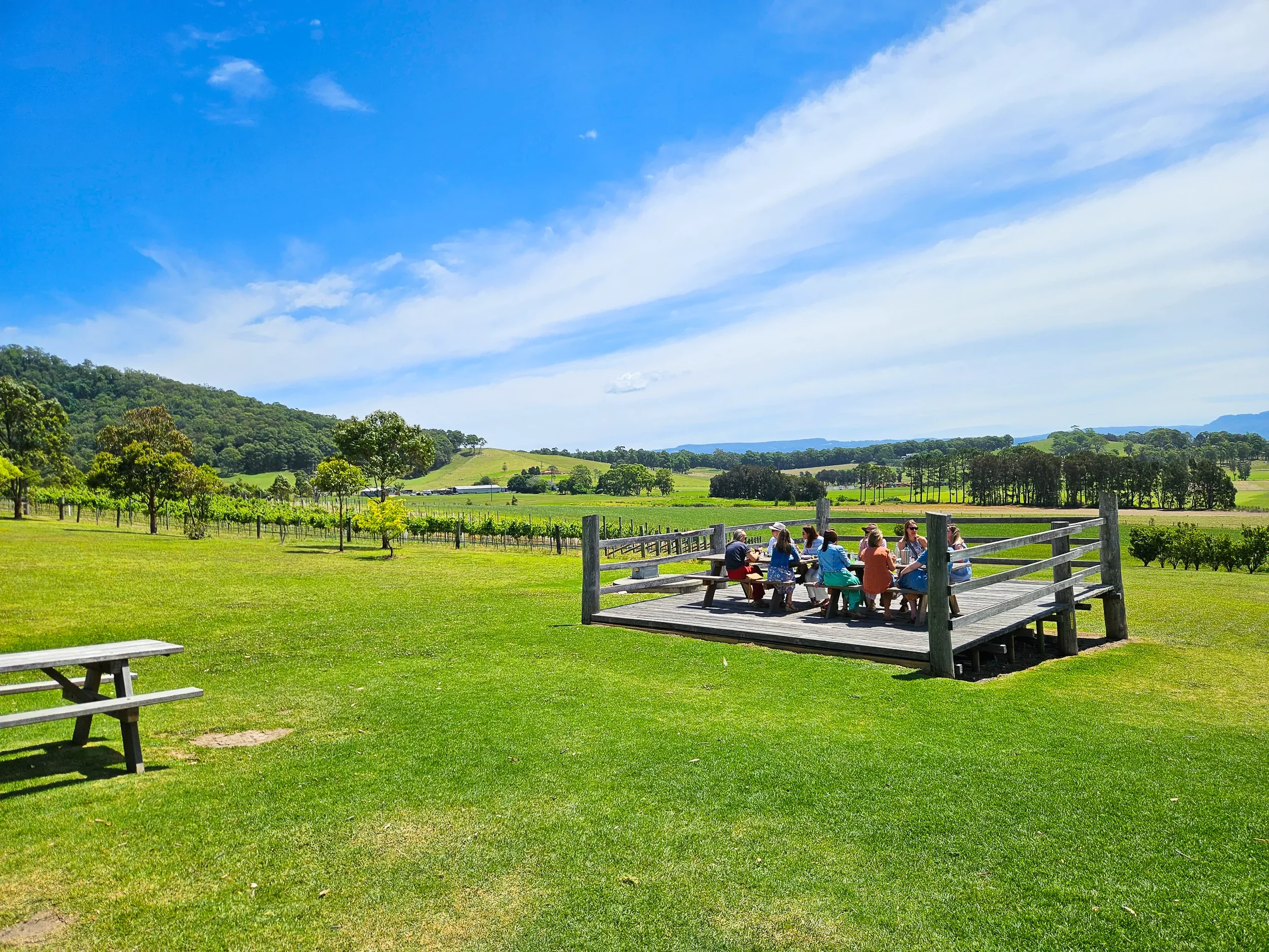 What to expect if you go to Mountain Ridge Wines when the sun has got it's hat on!
