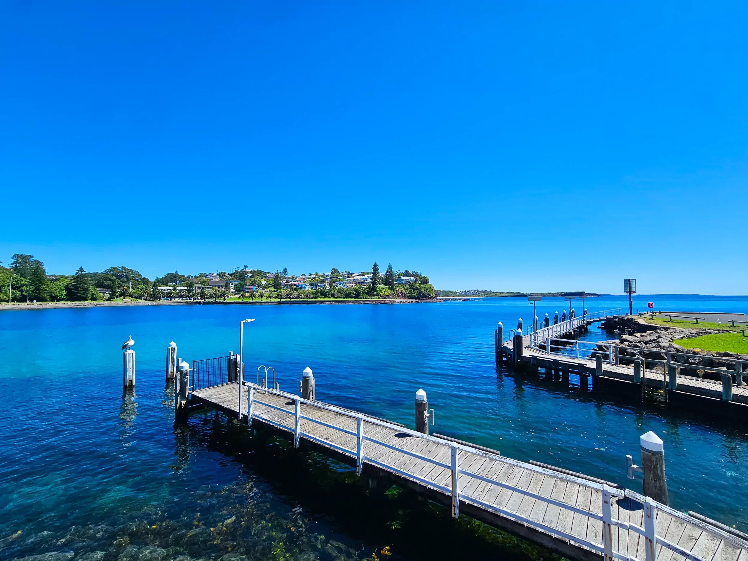 It's hard not to take the same picture every day. It's just so nice!