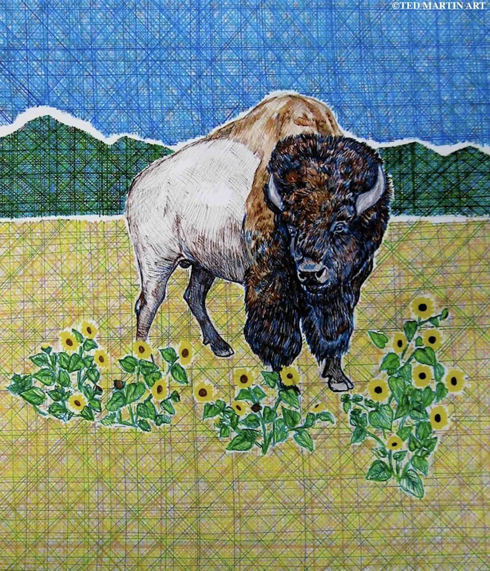 "Sunflower Buffalo" -
Ink Drawing (Gel Pen & Marker) -
11"x14"