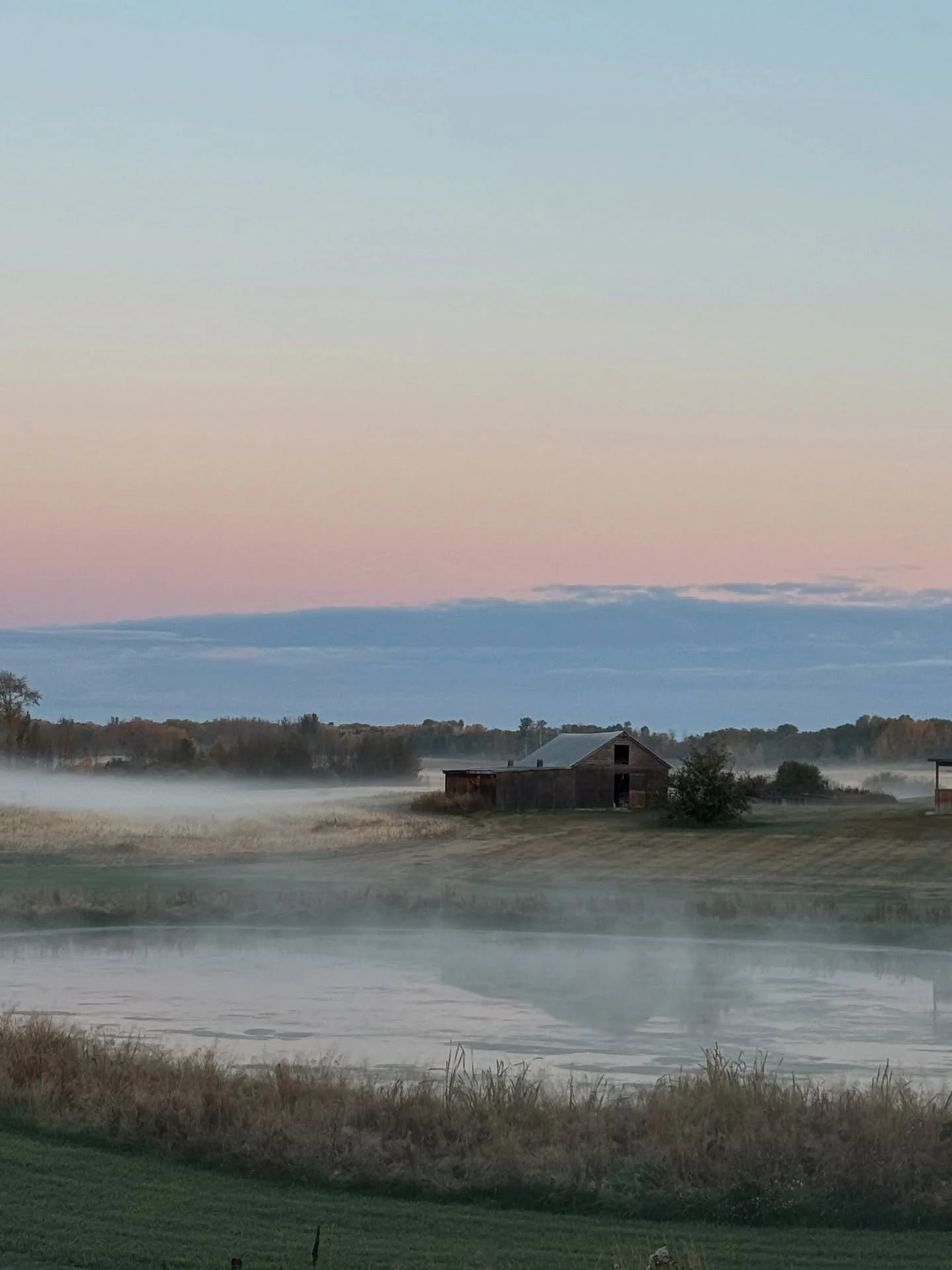 When the morning mist hits just right.