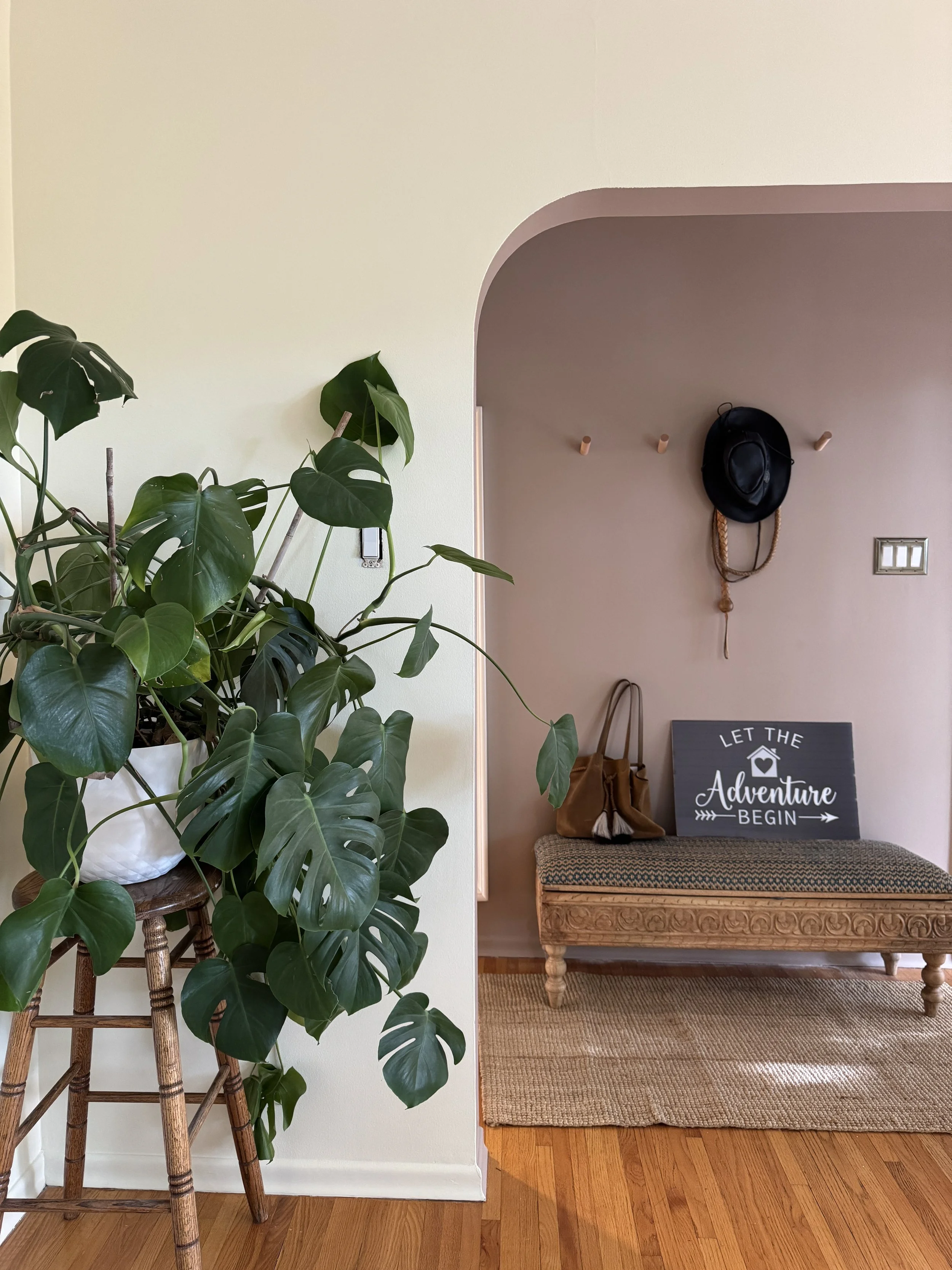Decorative entryway with a large potted Monstera plant on a wooden plant stand, a tufted bench with a black and white sign that reads 'Let the Adventure Begin,' a brown purse, a black hat hanging on a wall hook, and a woven rug on a hardwood floor.
