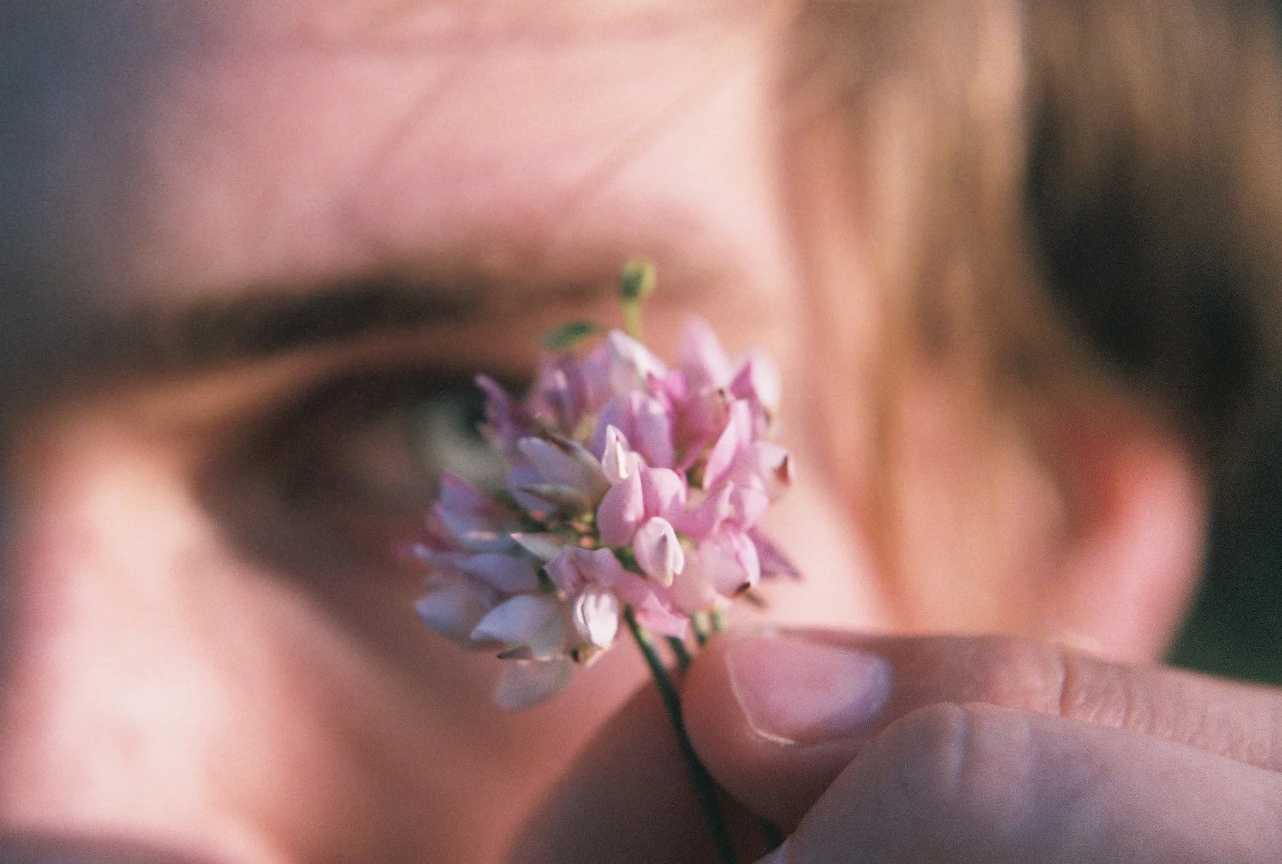 Close-up of a person holding a pink flower near their face, with focus on the flower and part of their eye visible in the background.