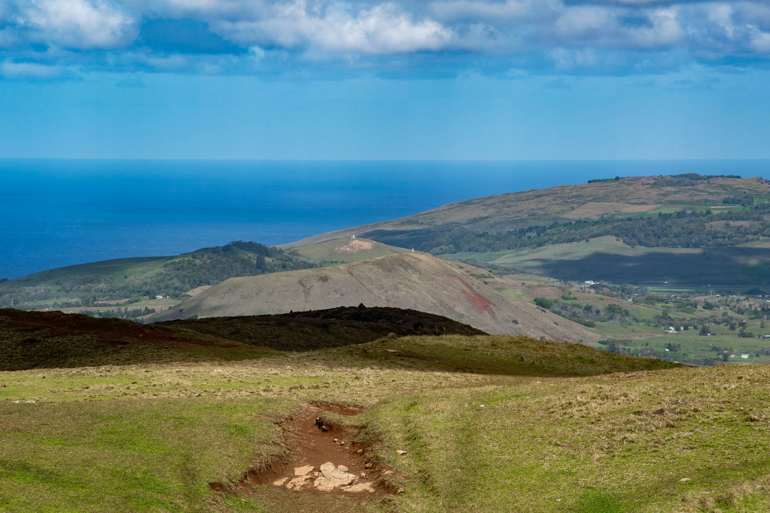 DSC_0133.jpg