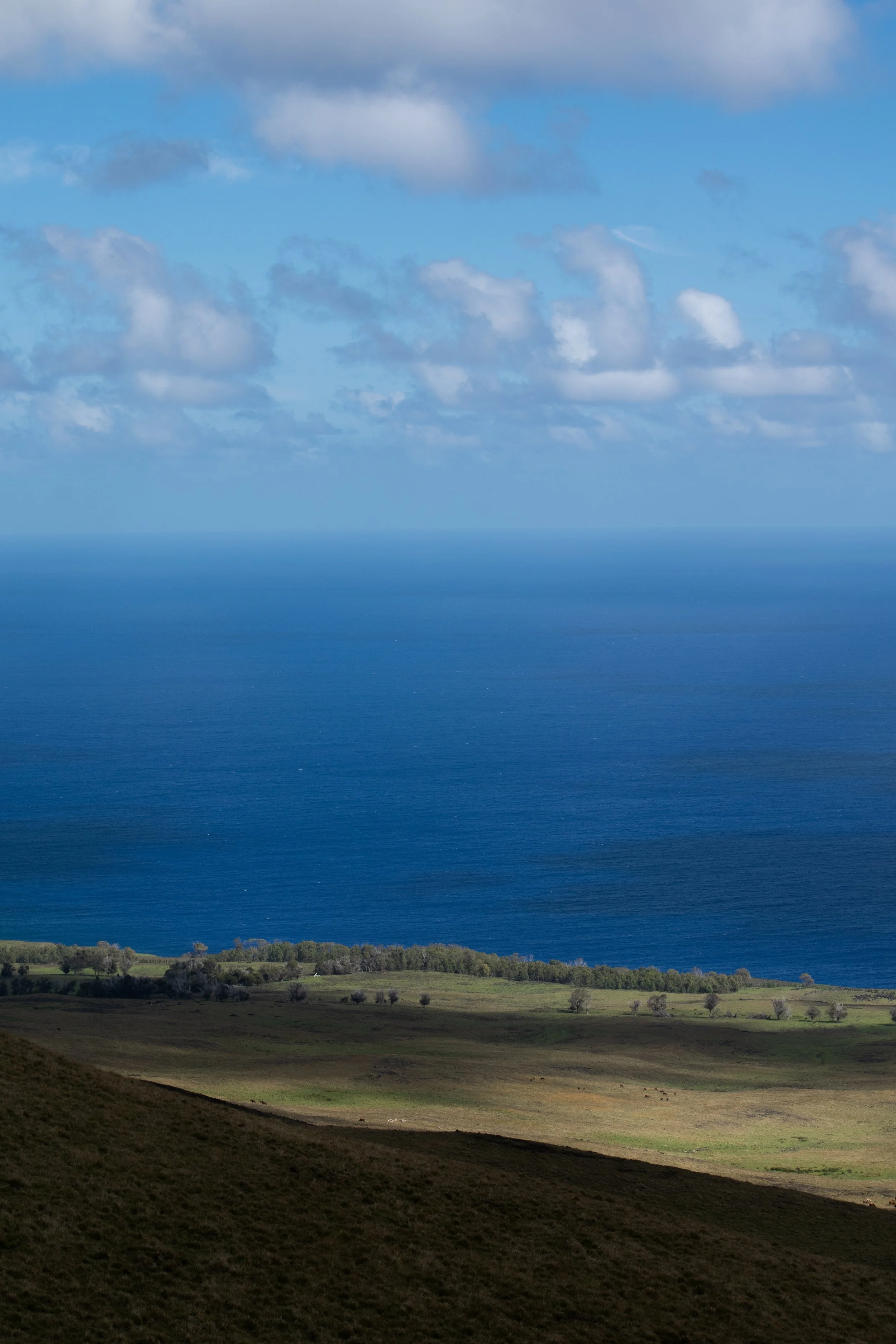 DSC_0137.jpg