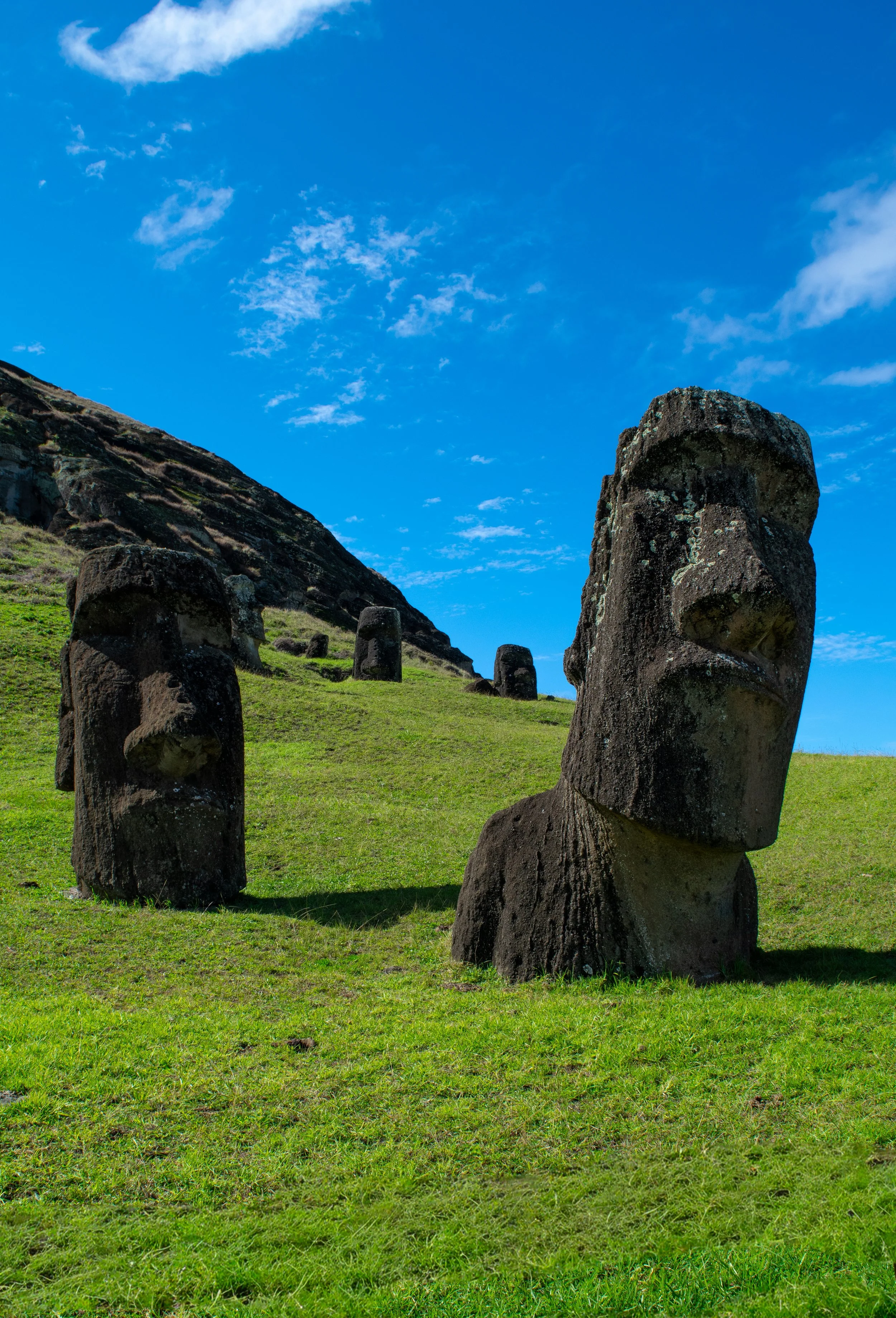DSC_0040-2.jpg