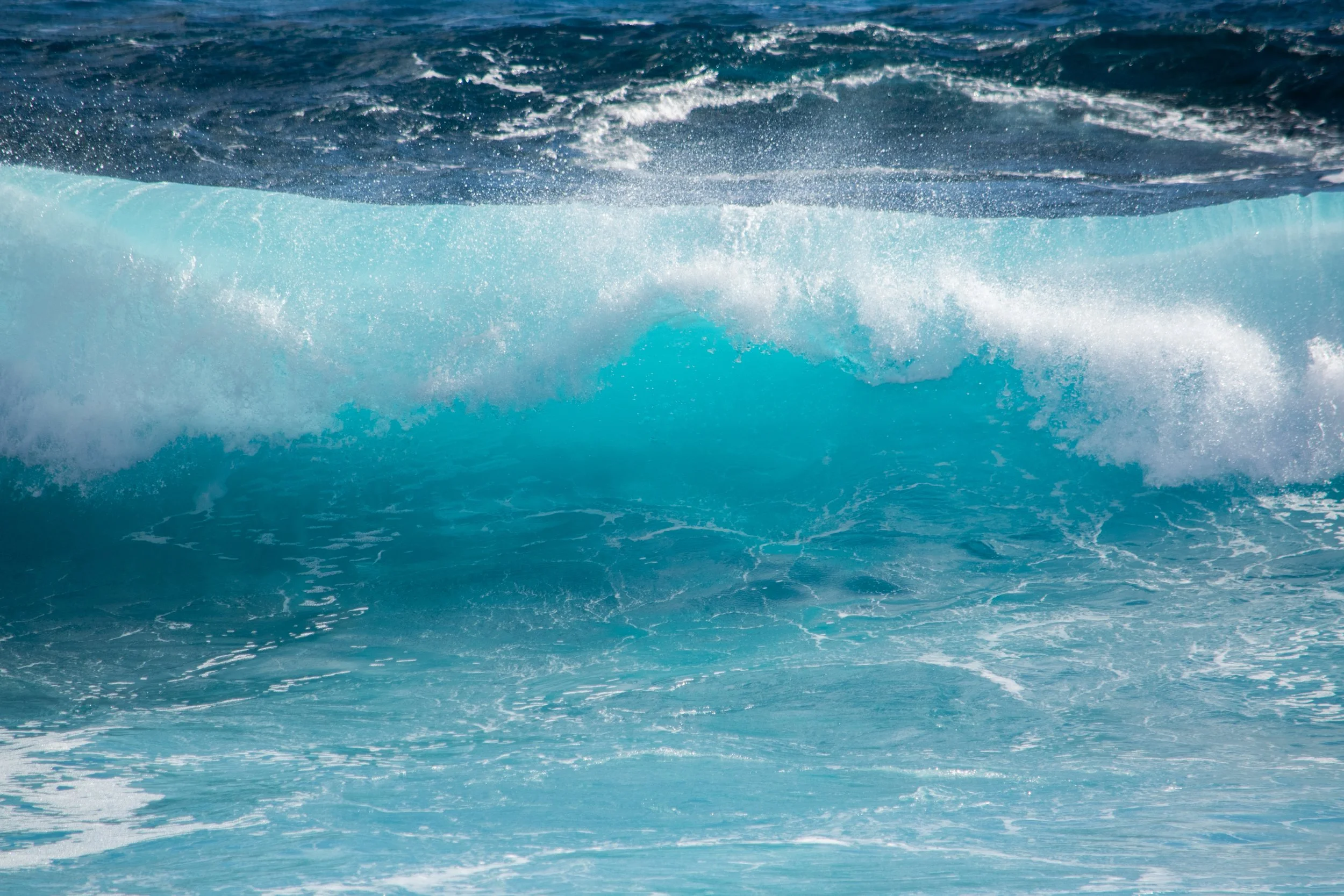 DSC_0246.jpg