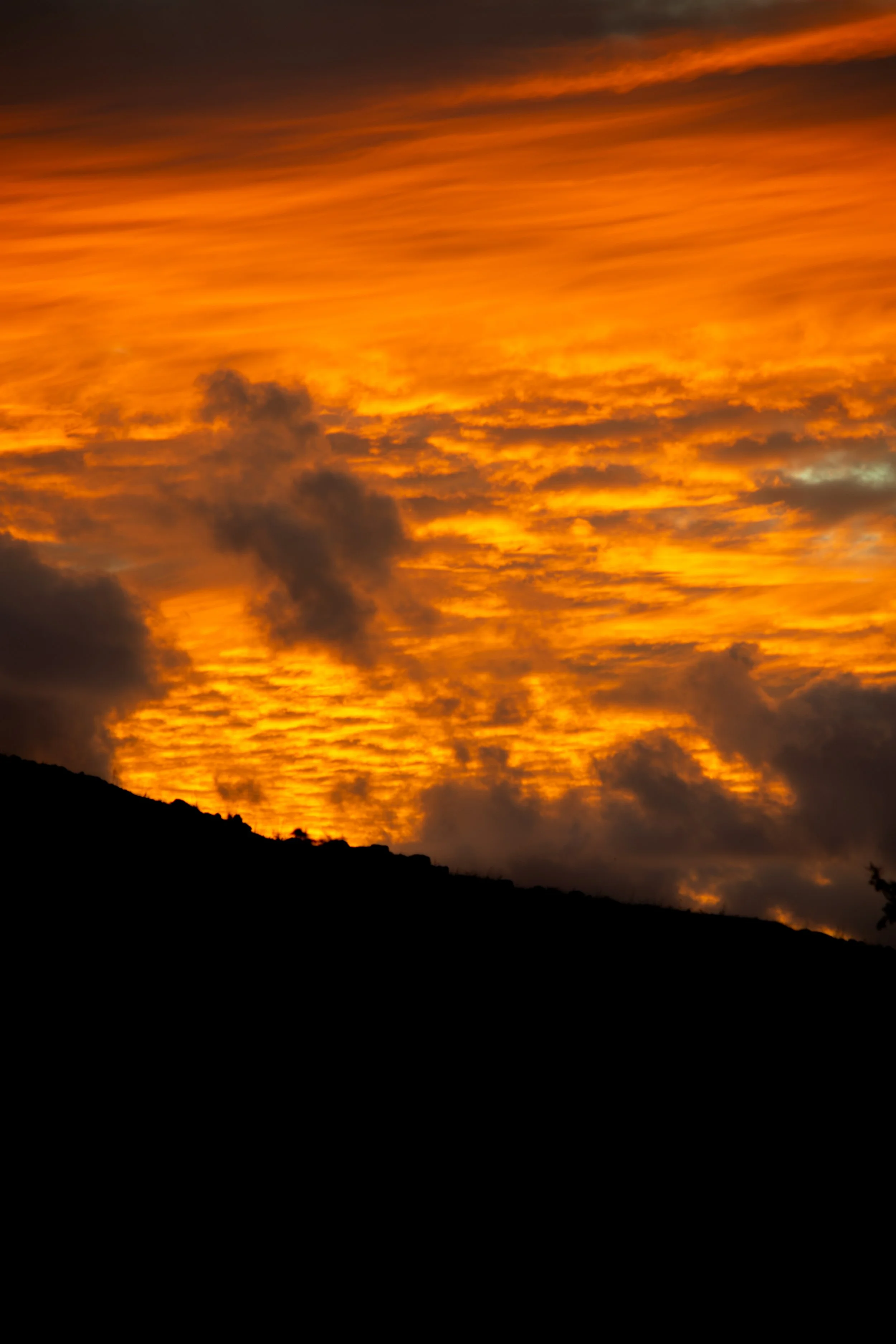 DSC_0188.jpg