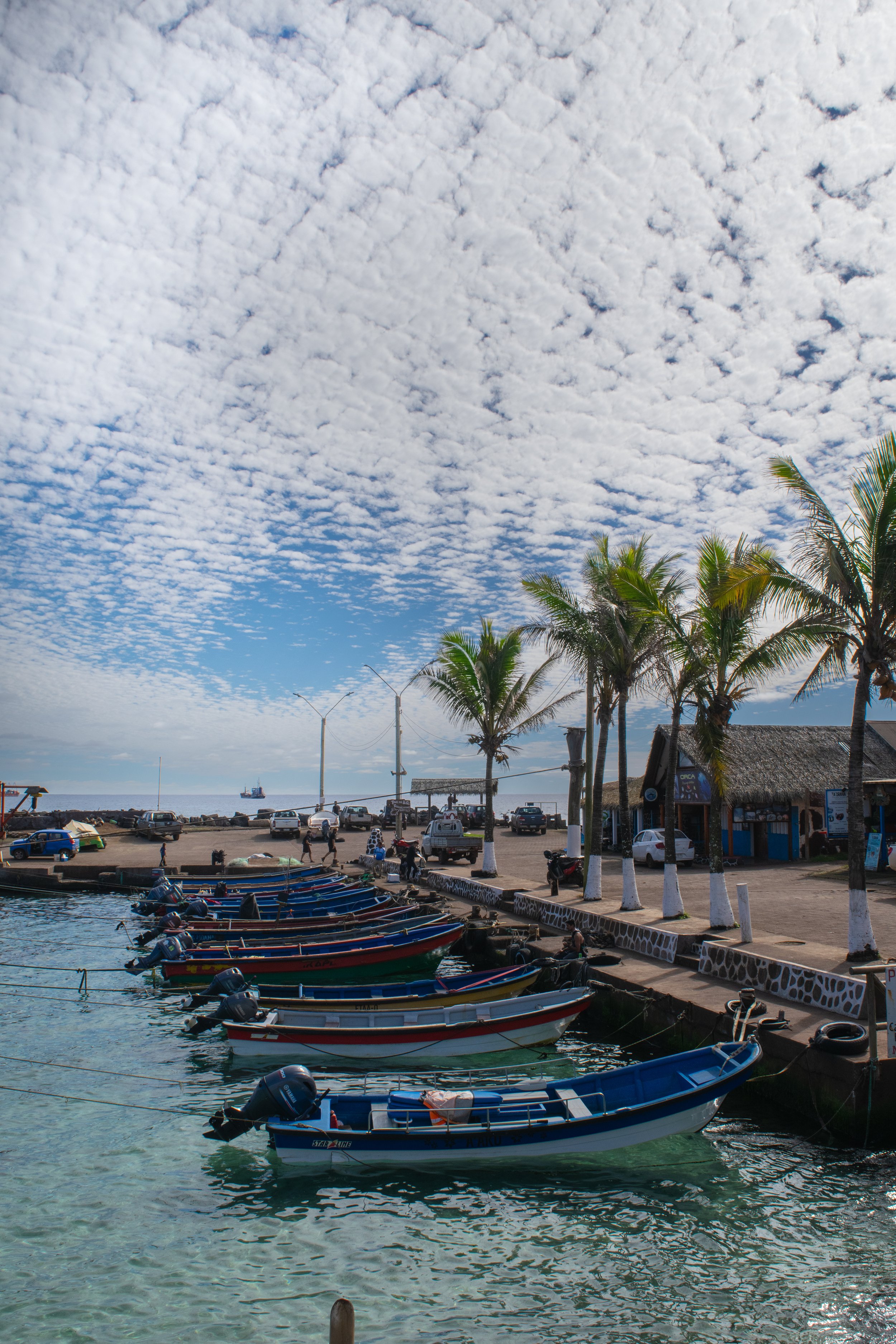 DSC_0050.jpg
