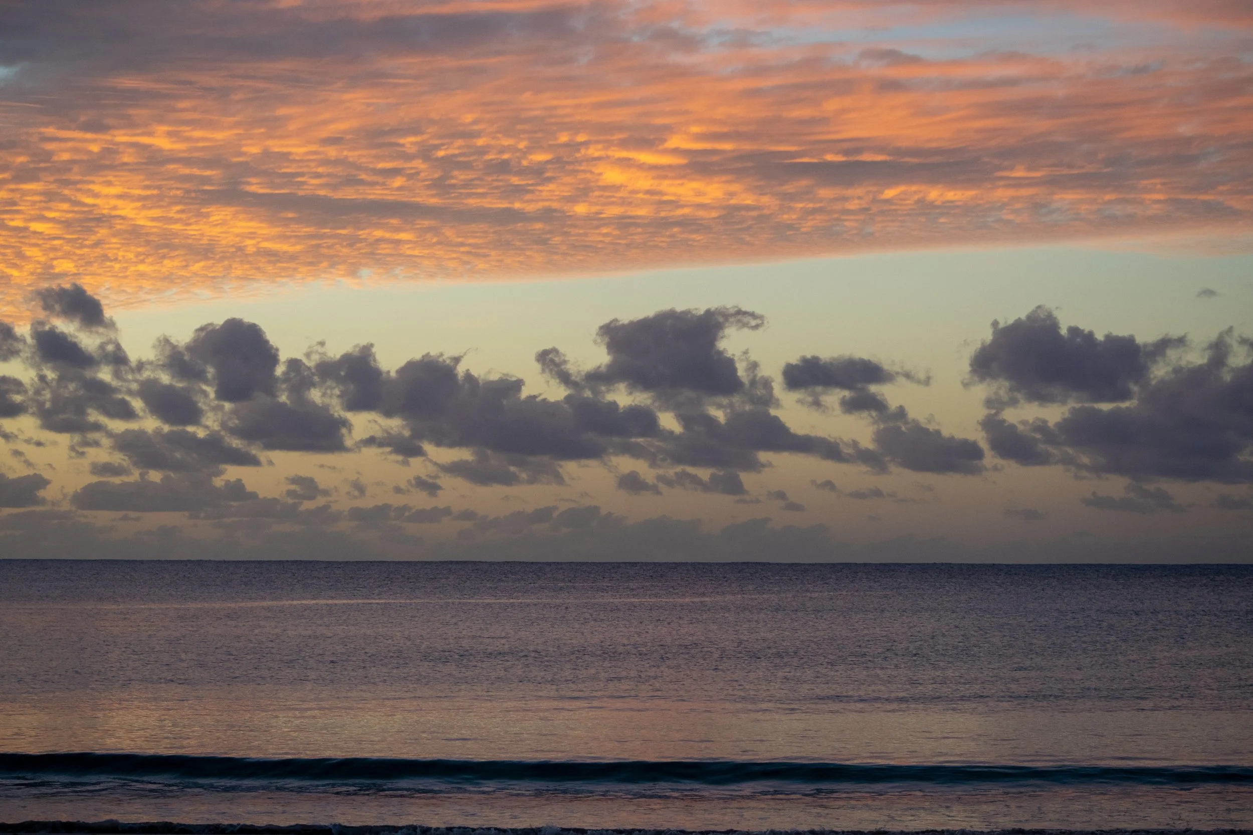 DSC_0182.jpg