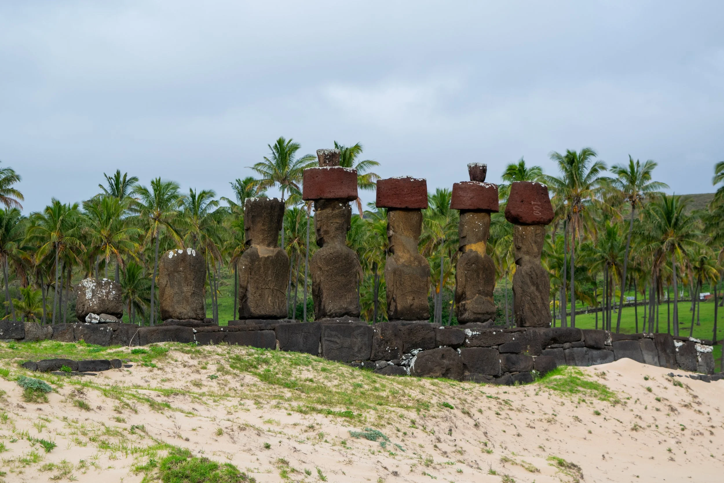 DSC_0007.jpg