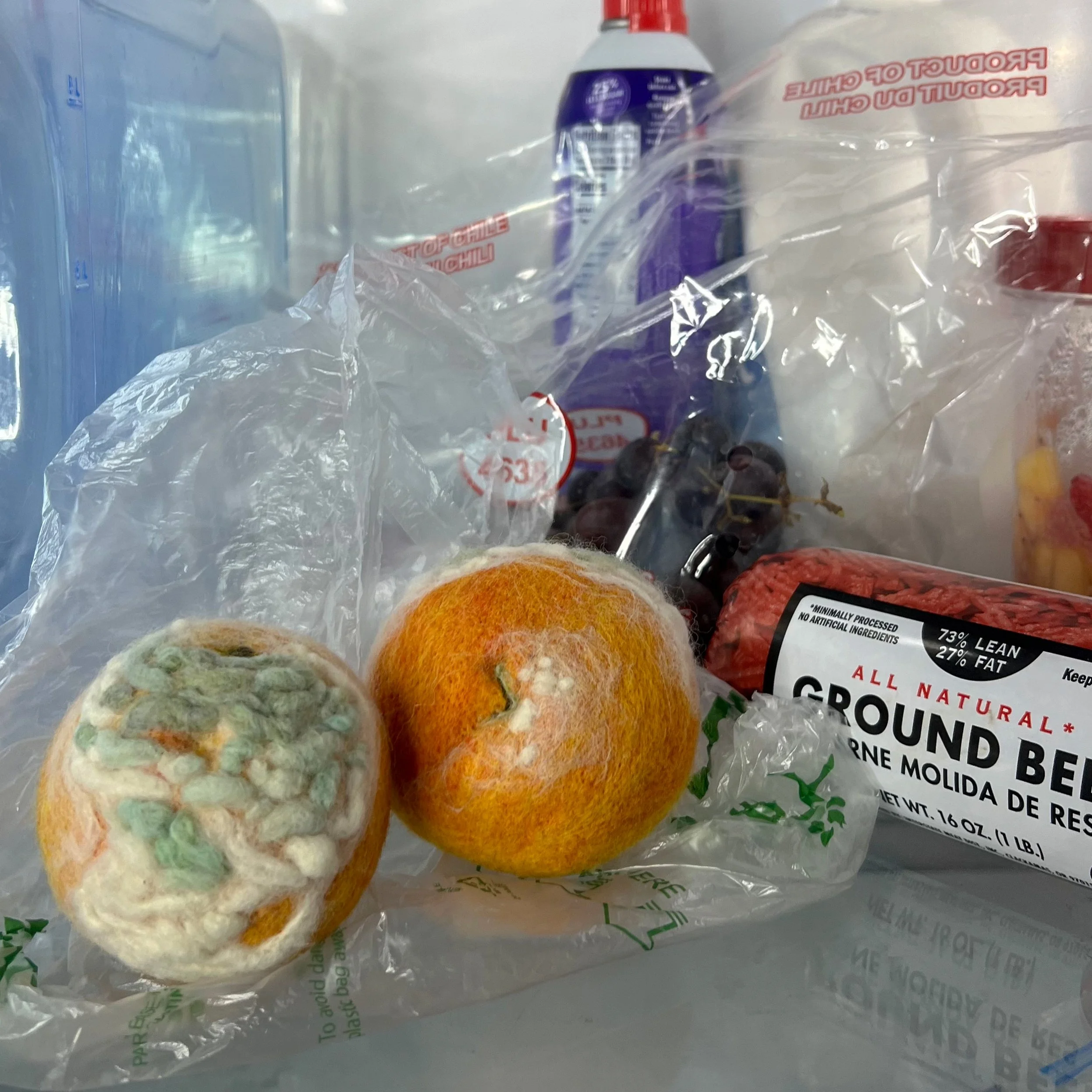 ROTTEN! oranges_5.jpg